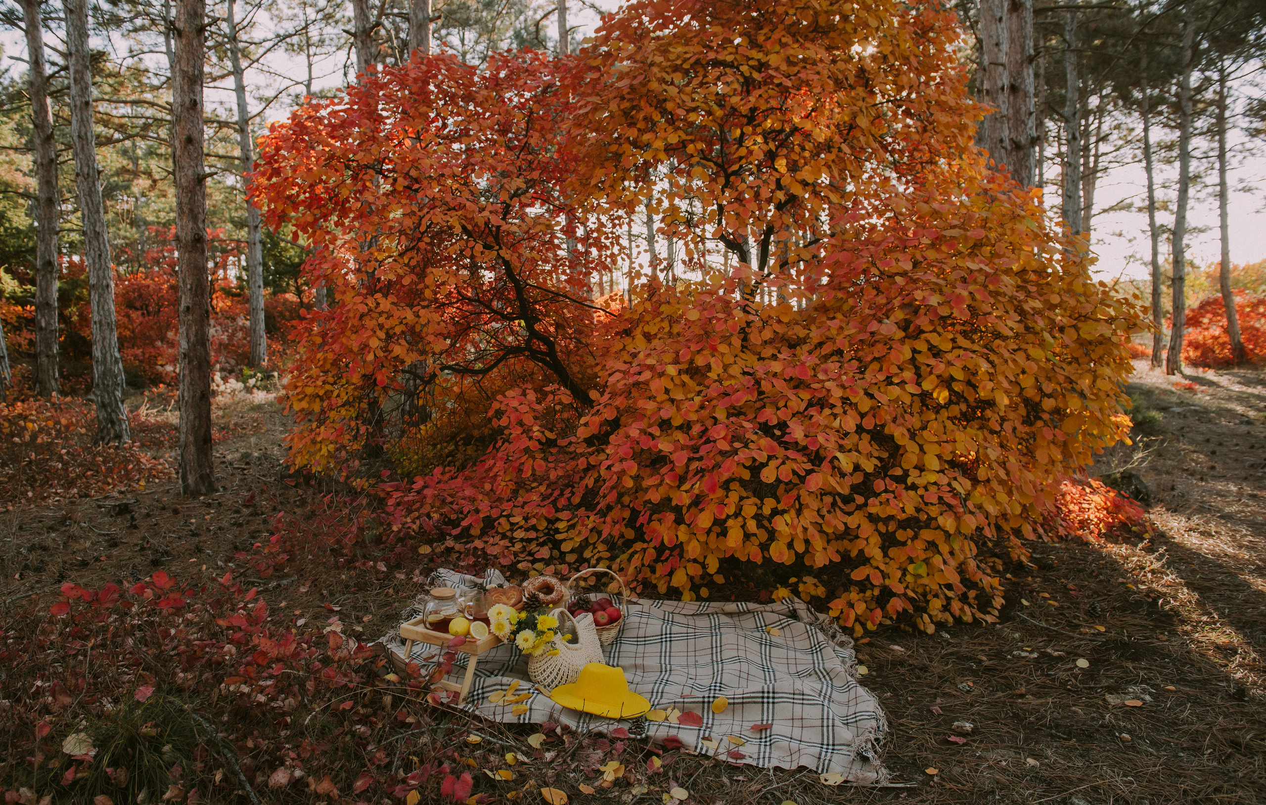Осеннее чаепитие. Свадебный, женский, семейный фотограф в Севастополе Юлия Мошенко