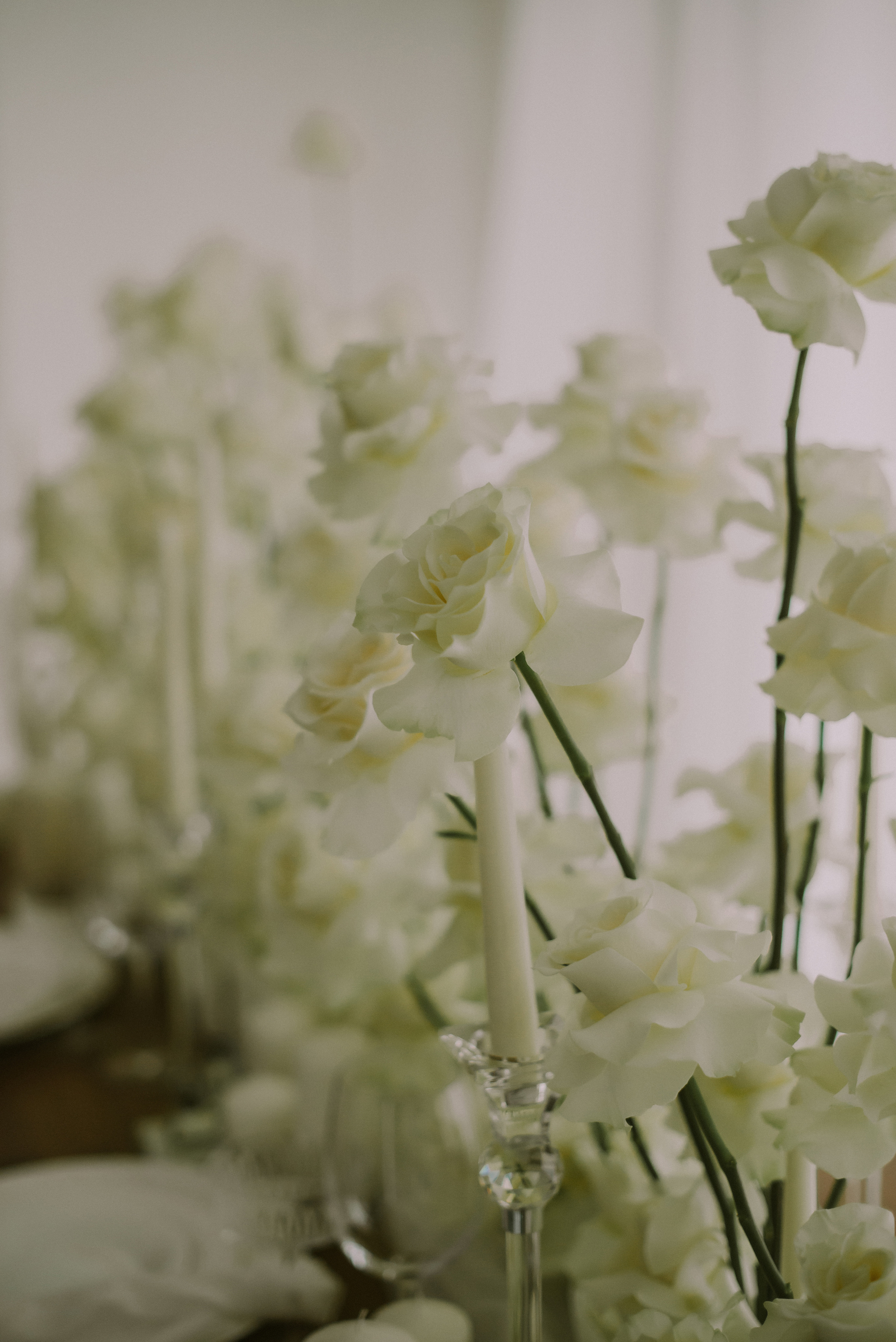 Кристина и Павел. Ялта. Свадебный, женский, семейный фотограф в Севастополе Юлия Мошенко