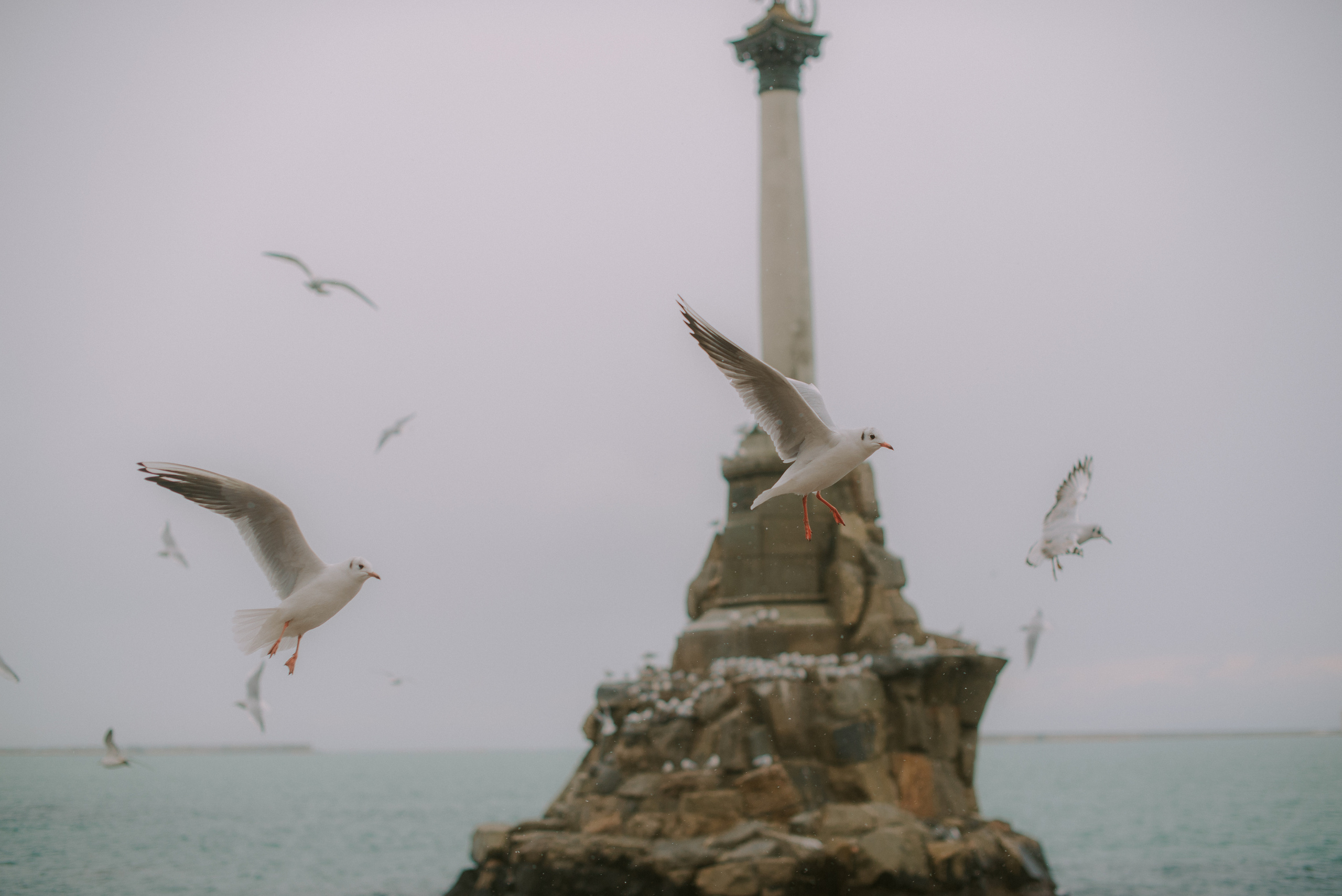 Зимний Севастополь для двоих. Свадебный, женский, семейный фотограф в Севастополе Юлия Мошенко