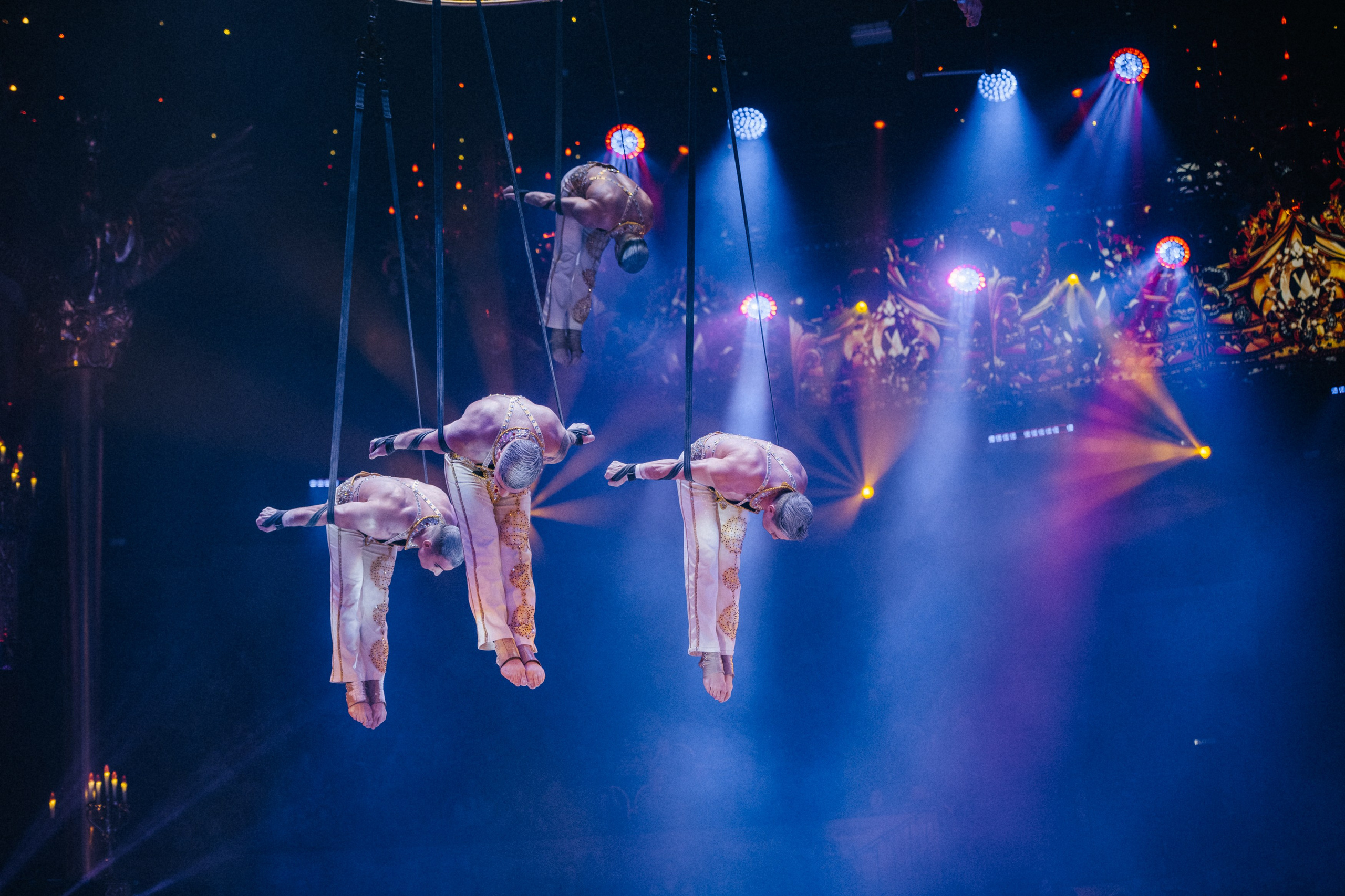 Королевский Цирк Гии Эрадзе. Репортажный и портретный фотограф в Санкт-Петербурге Степлевич Дарья