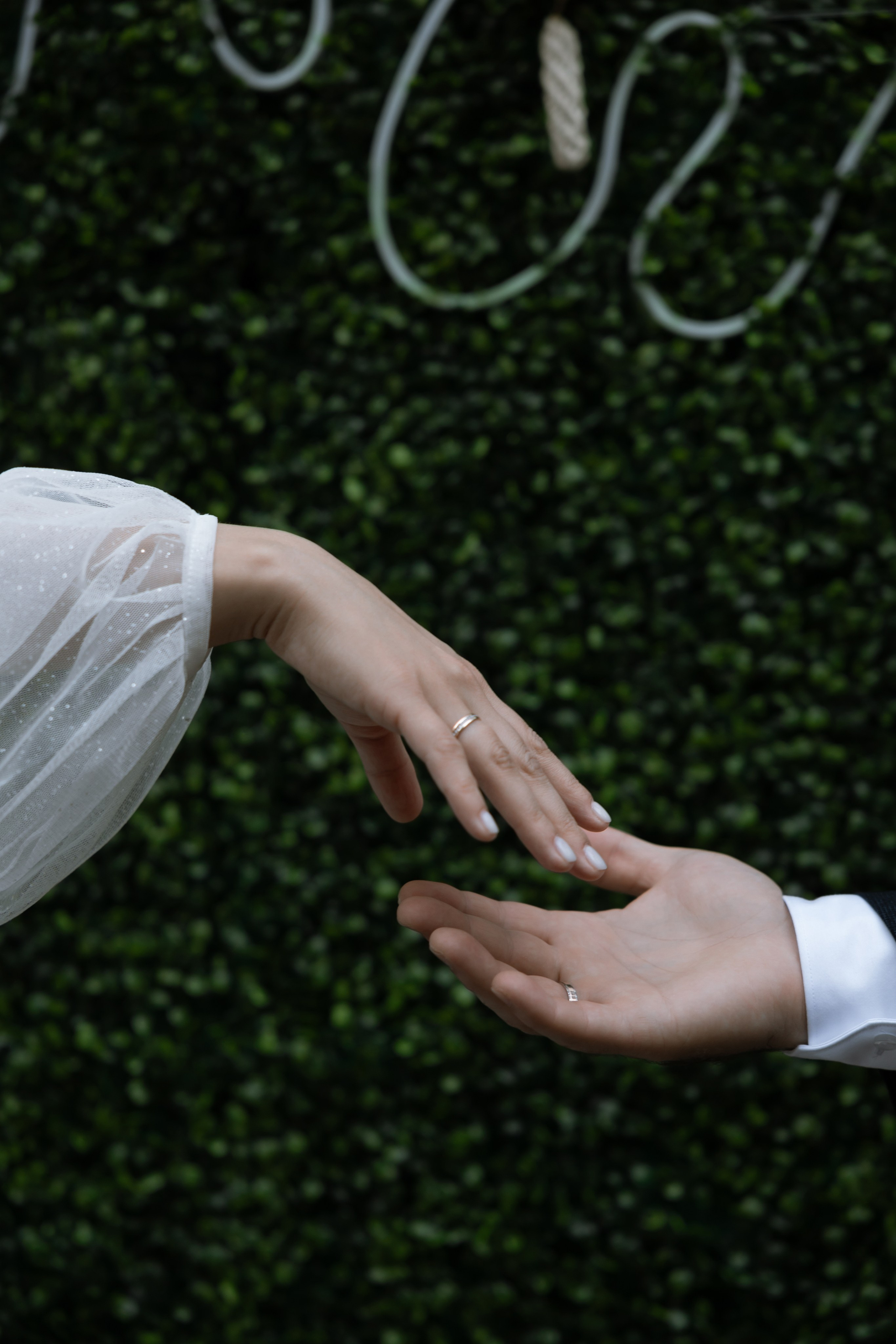 Артем и Александра. Свадебный фотограф в Санкт — Петербурге и Ленинградской о