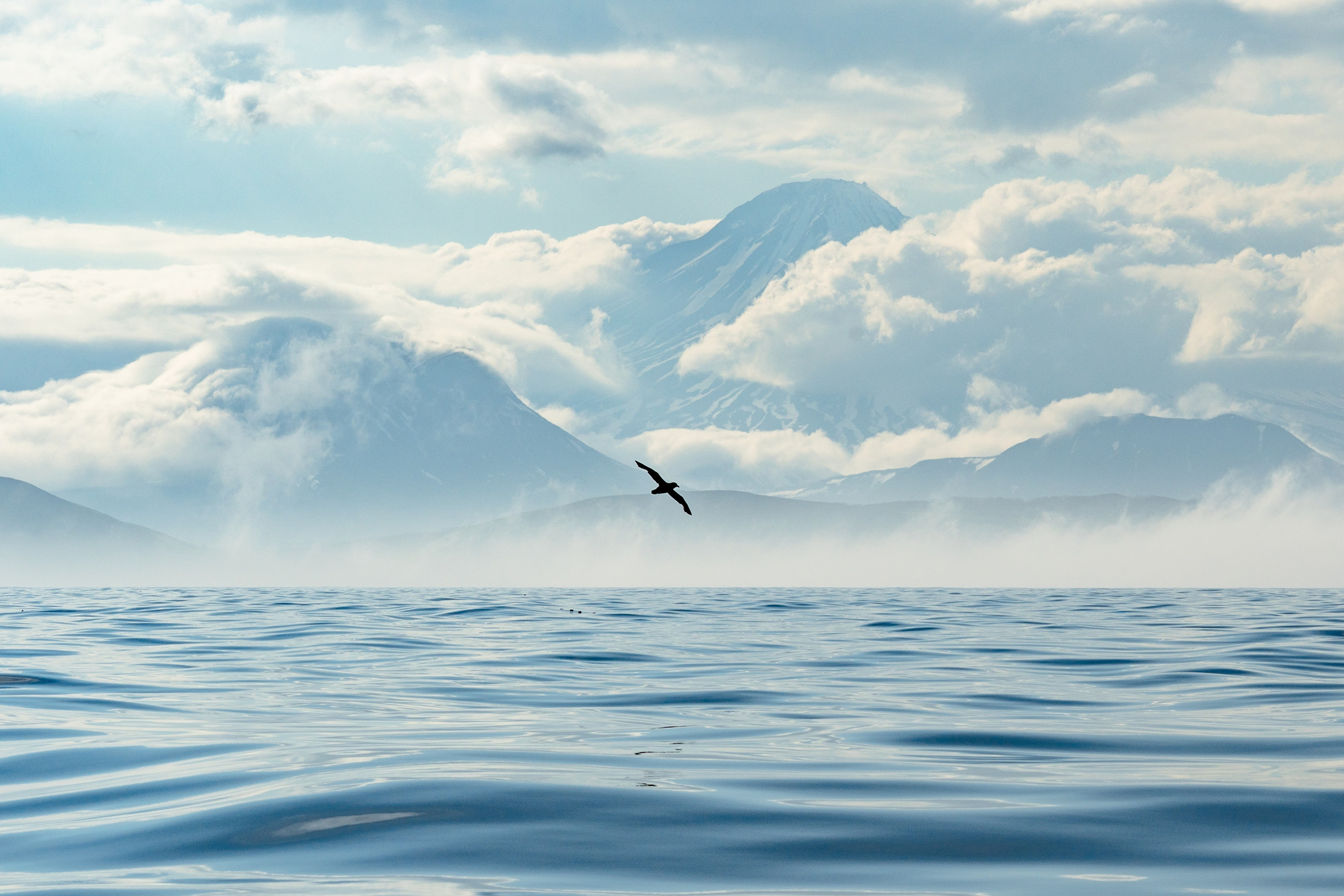 Северные Курильские острова. Andrew Gusarov Nature Photography