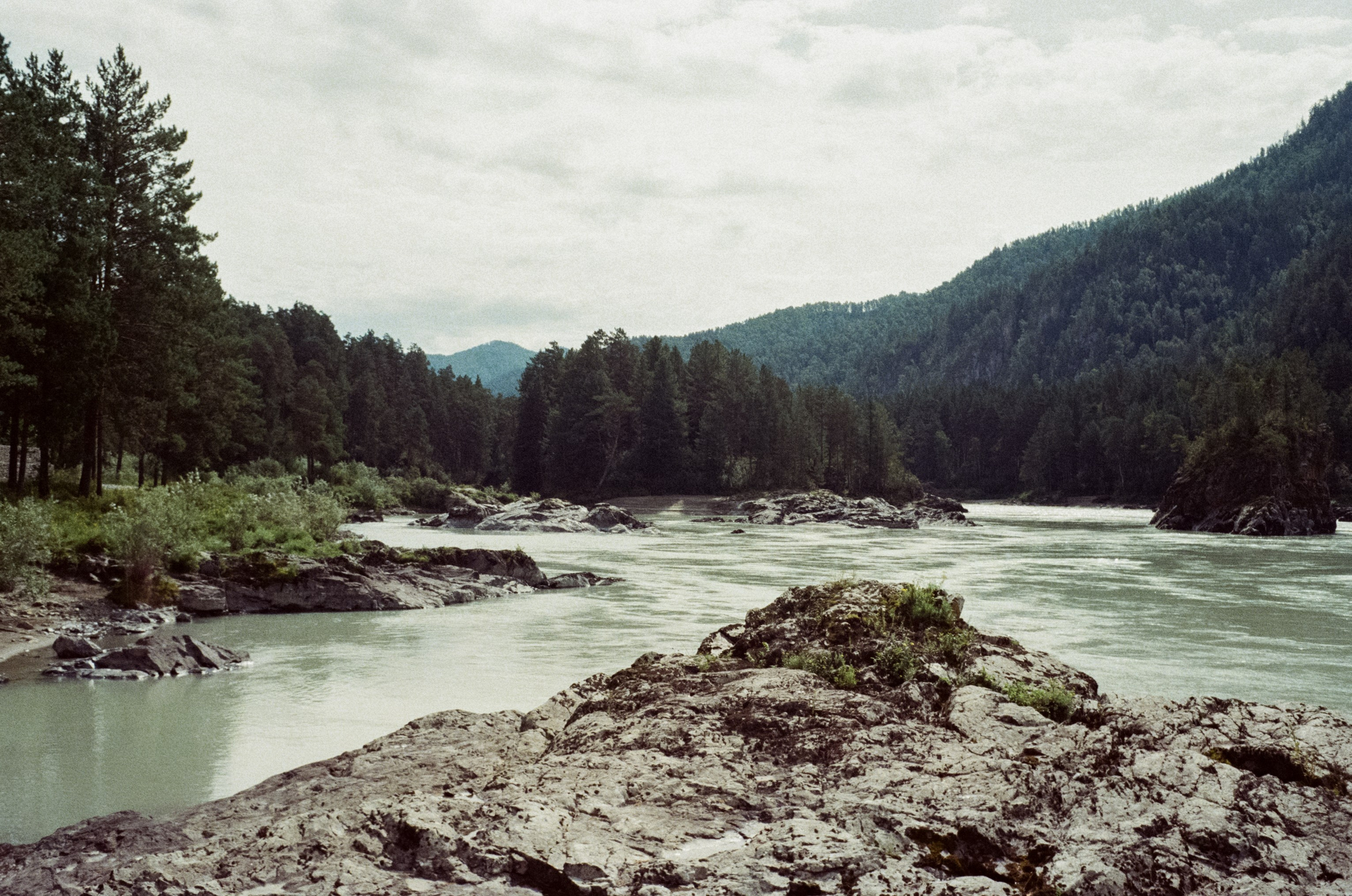 Алтай 08-09/2024