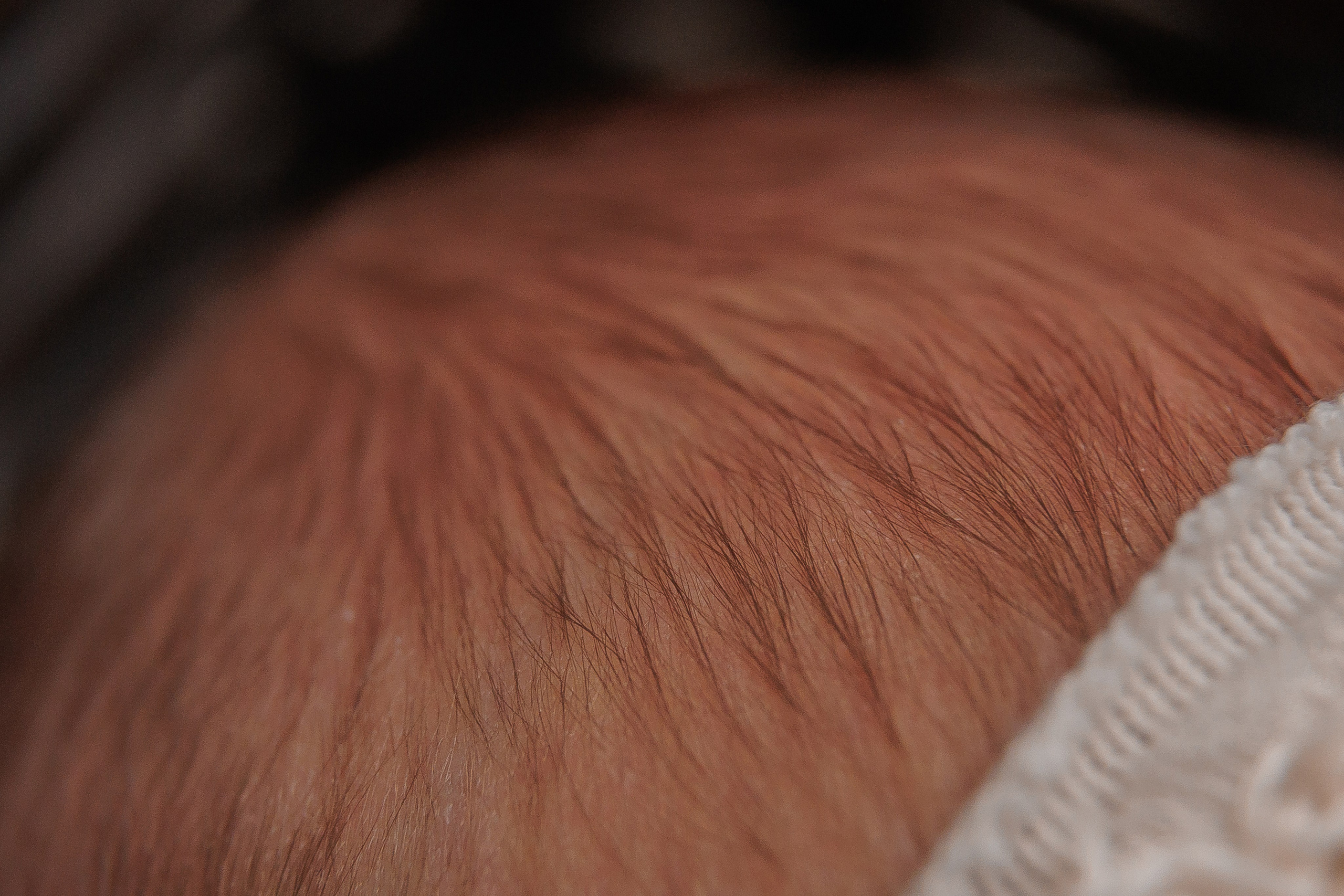 Newborn. Фотограф Лодейное Поле Екатерина Герасимова в Санкт-Петербурге и Лен. области