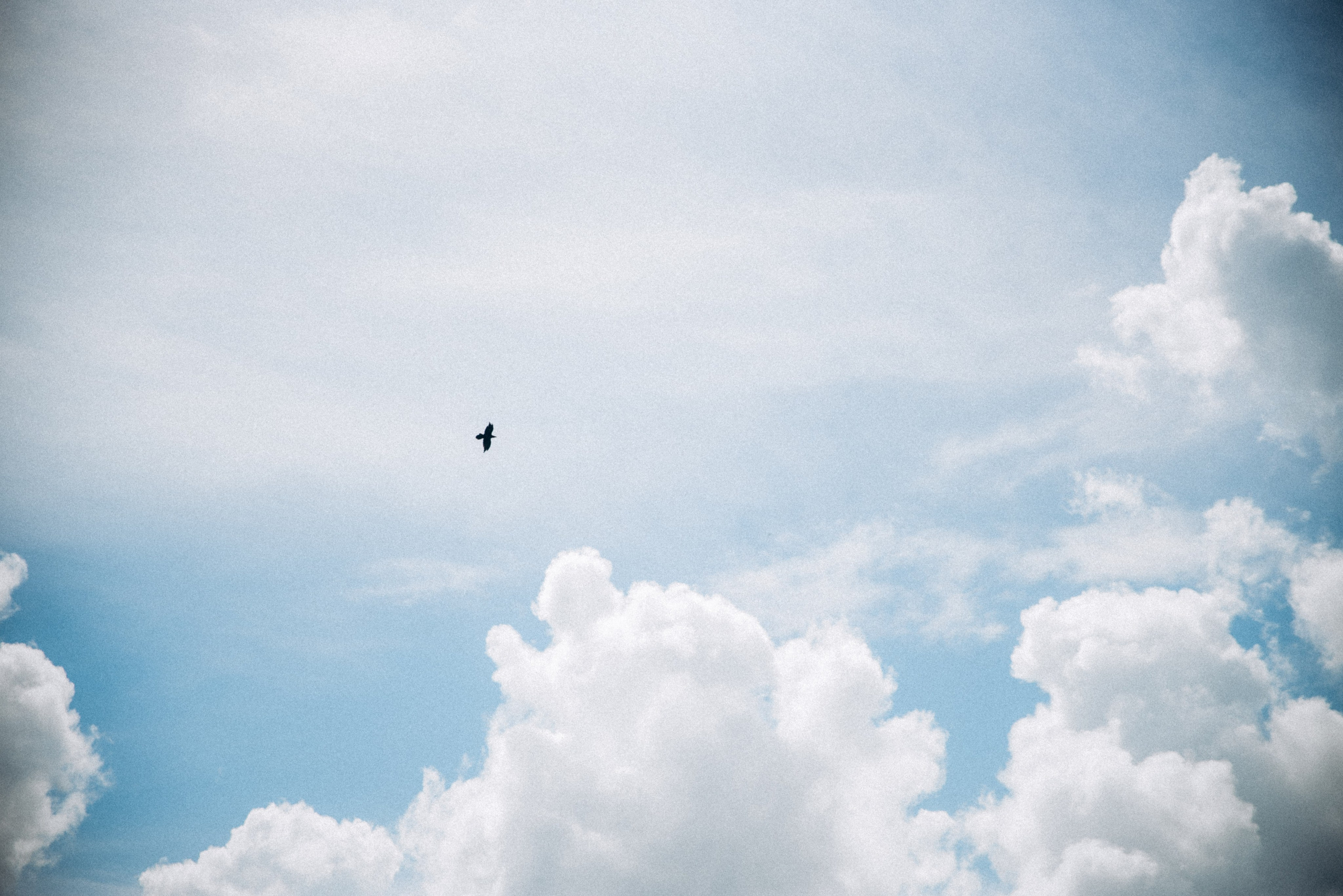 Сванетия, Грузия 🇬🇪. Anita_photo