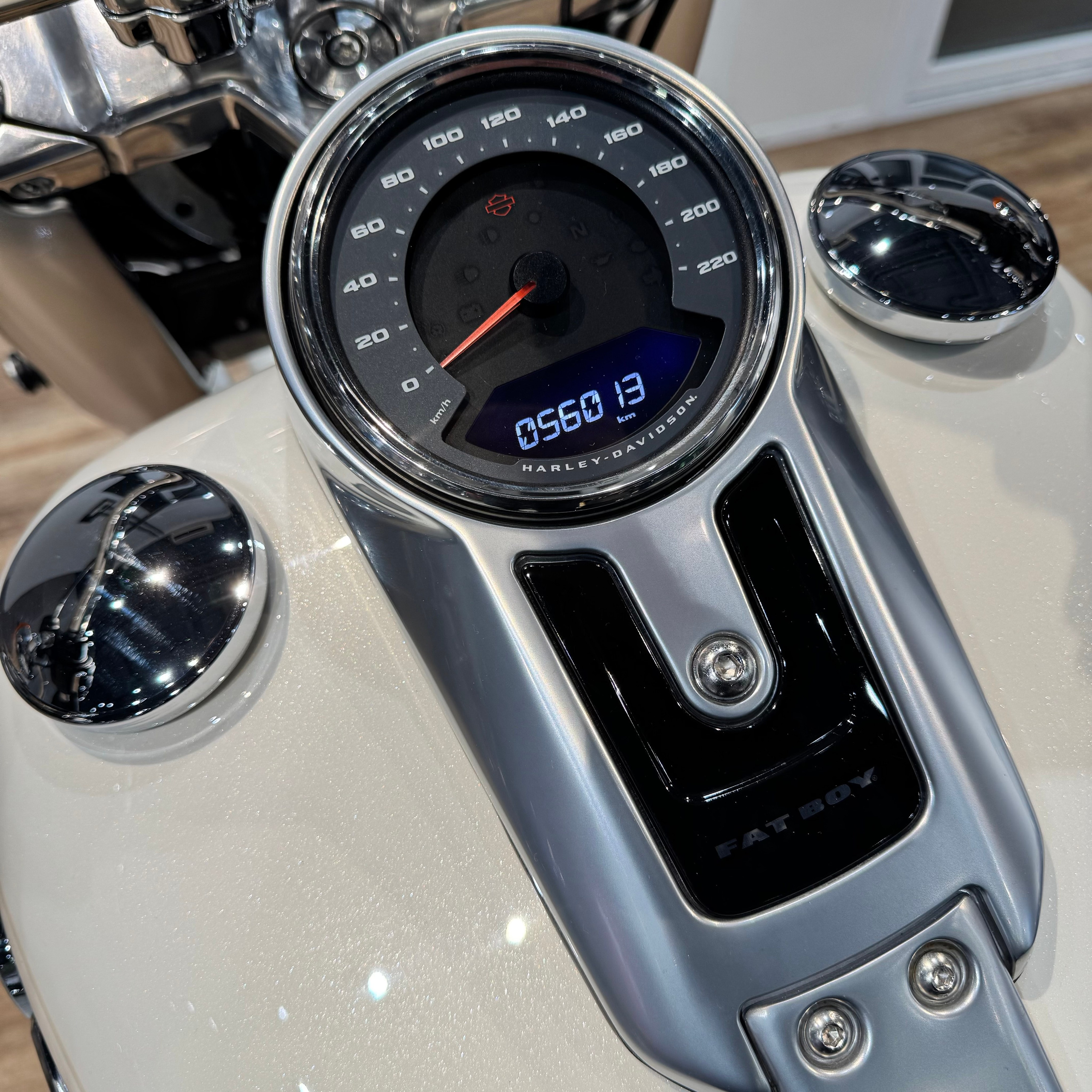 Harley Davidson 114 FAT BOY (Softail) — купить мотоцикл. Hello Davidson, Москва. Только хорошие мотоциклы…