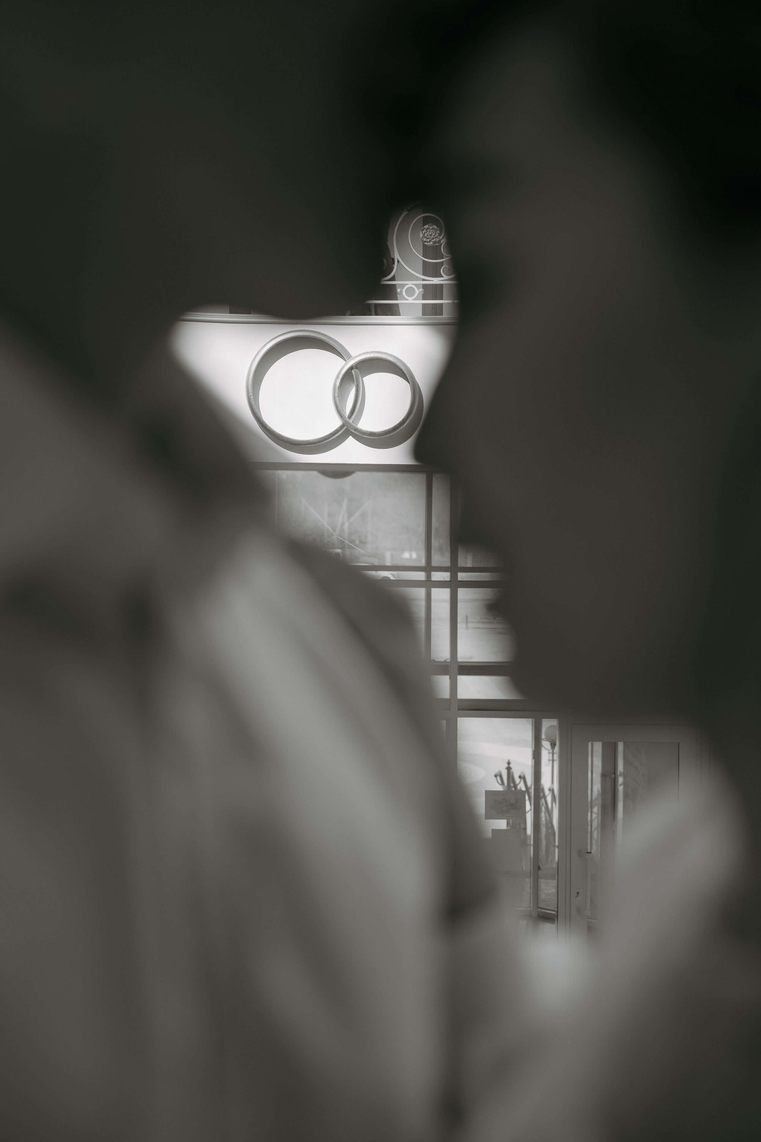 Бракосочетания. Қойшин Абылай