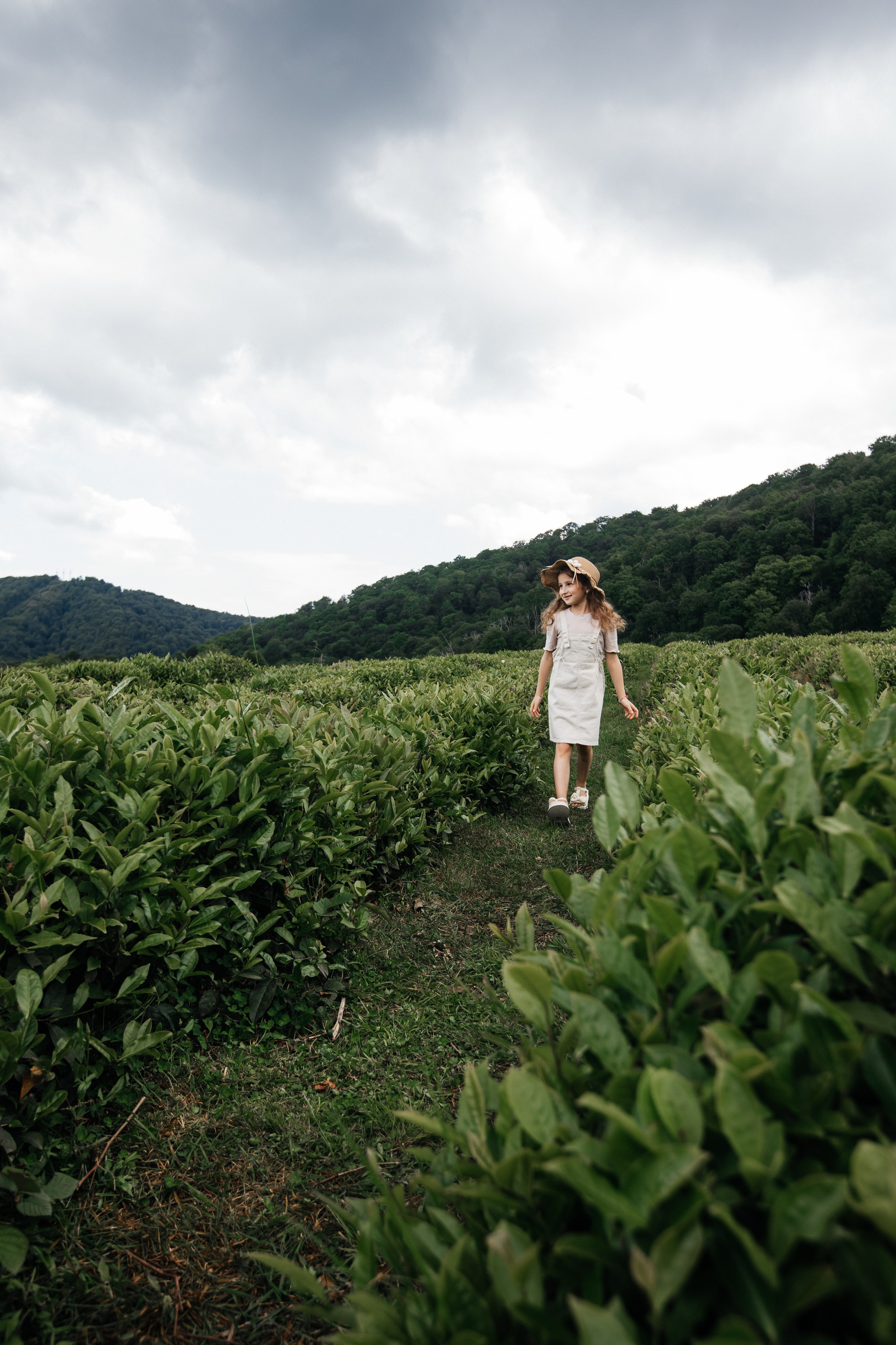 Tea plantation. Efimova Model Agency