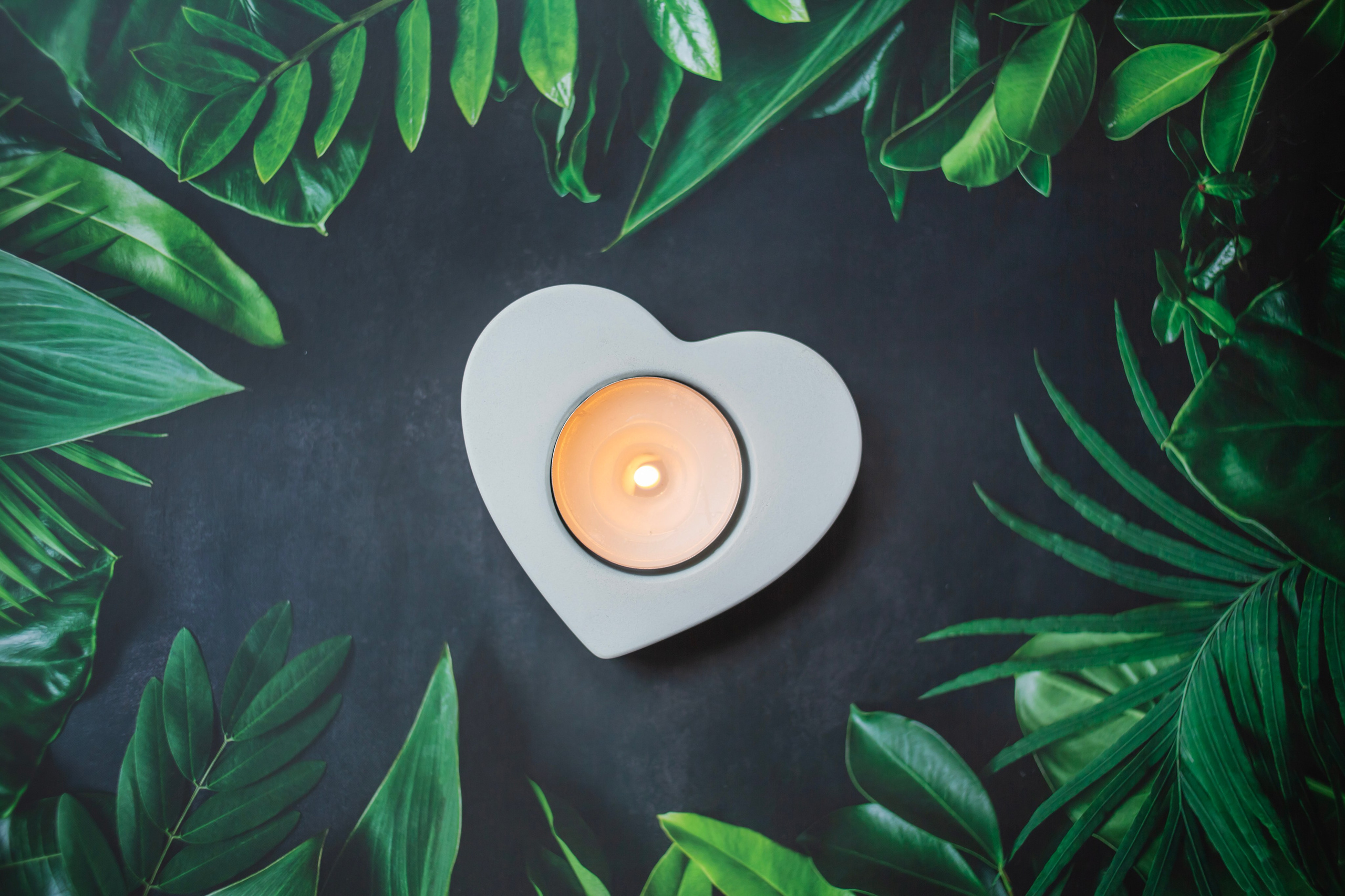 Предметная съемка. Семейный и детский фотограф в Москве и МО — Александра