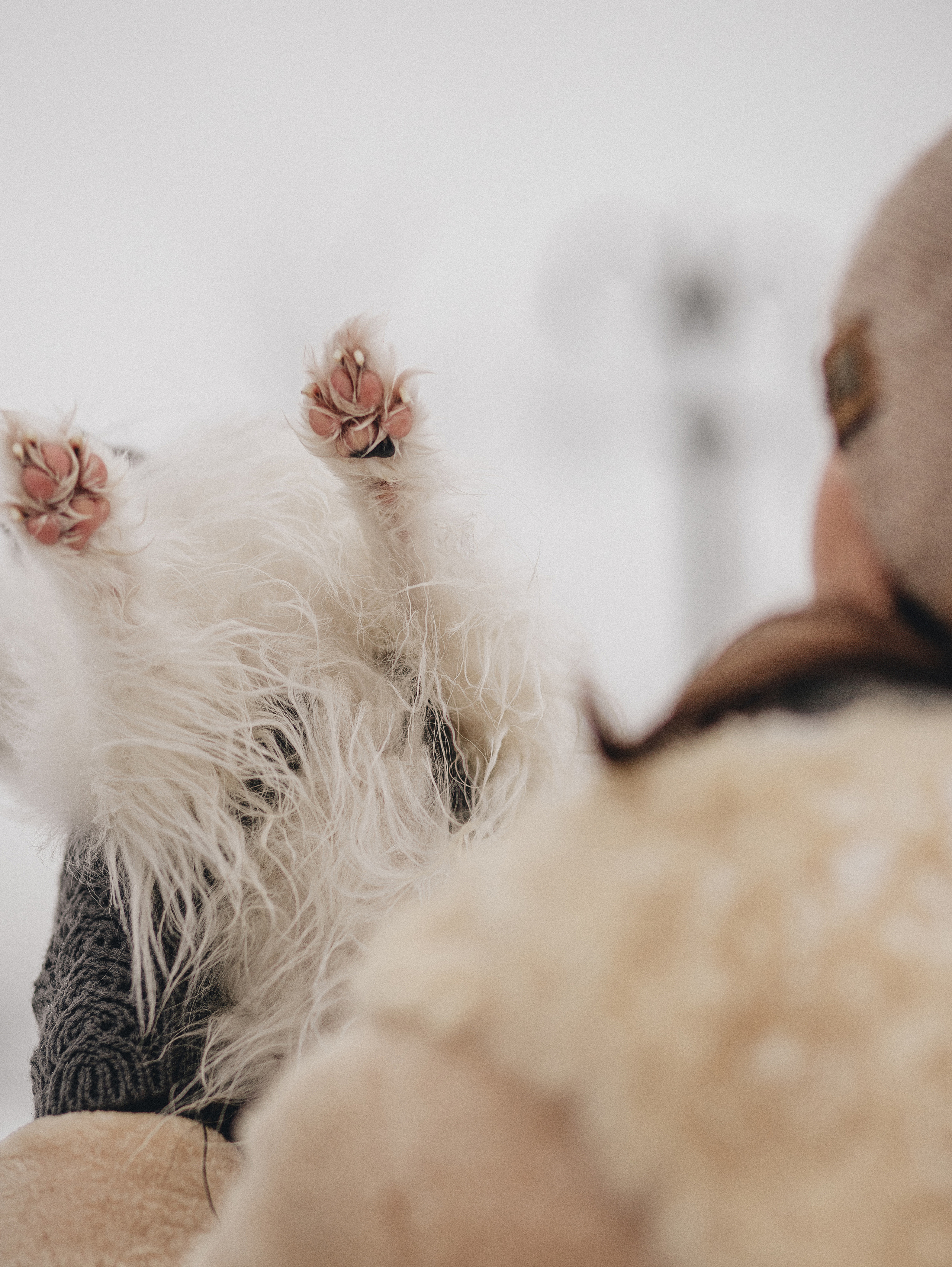 Зима, Пушкин и Ира. Фотограф в Краснодаре Алена Соколовская