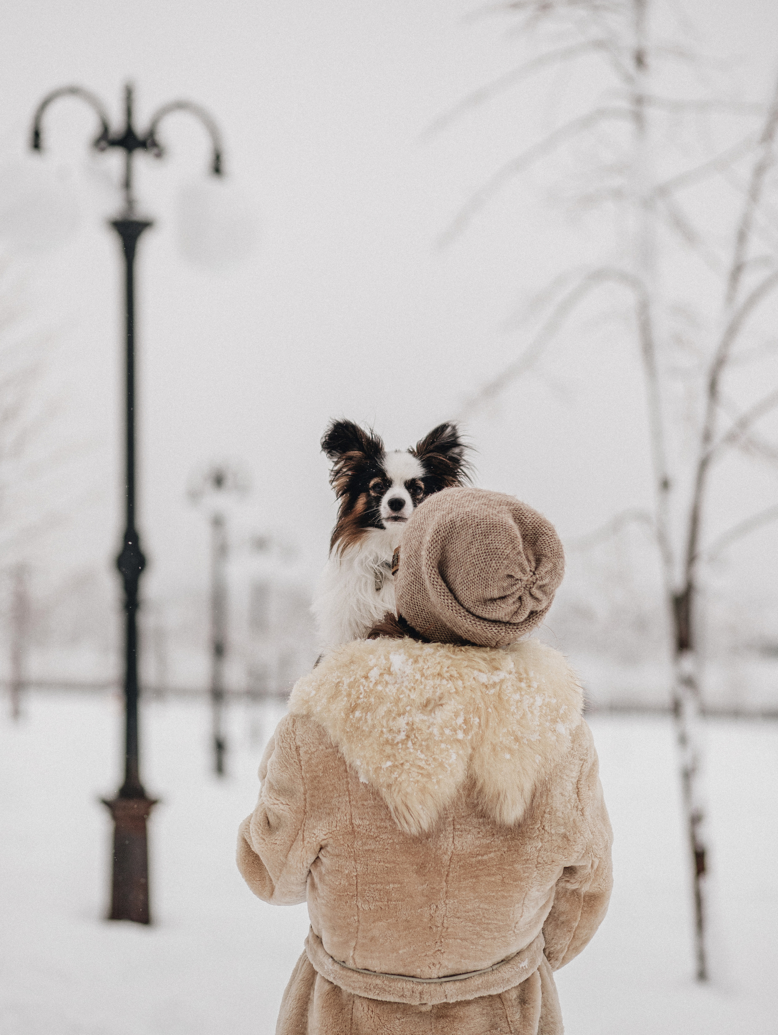 Зима, Пушкин и Ира. Фотограф в Краснодаре Алена Соколовская