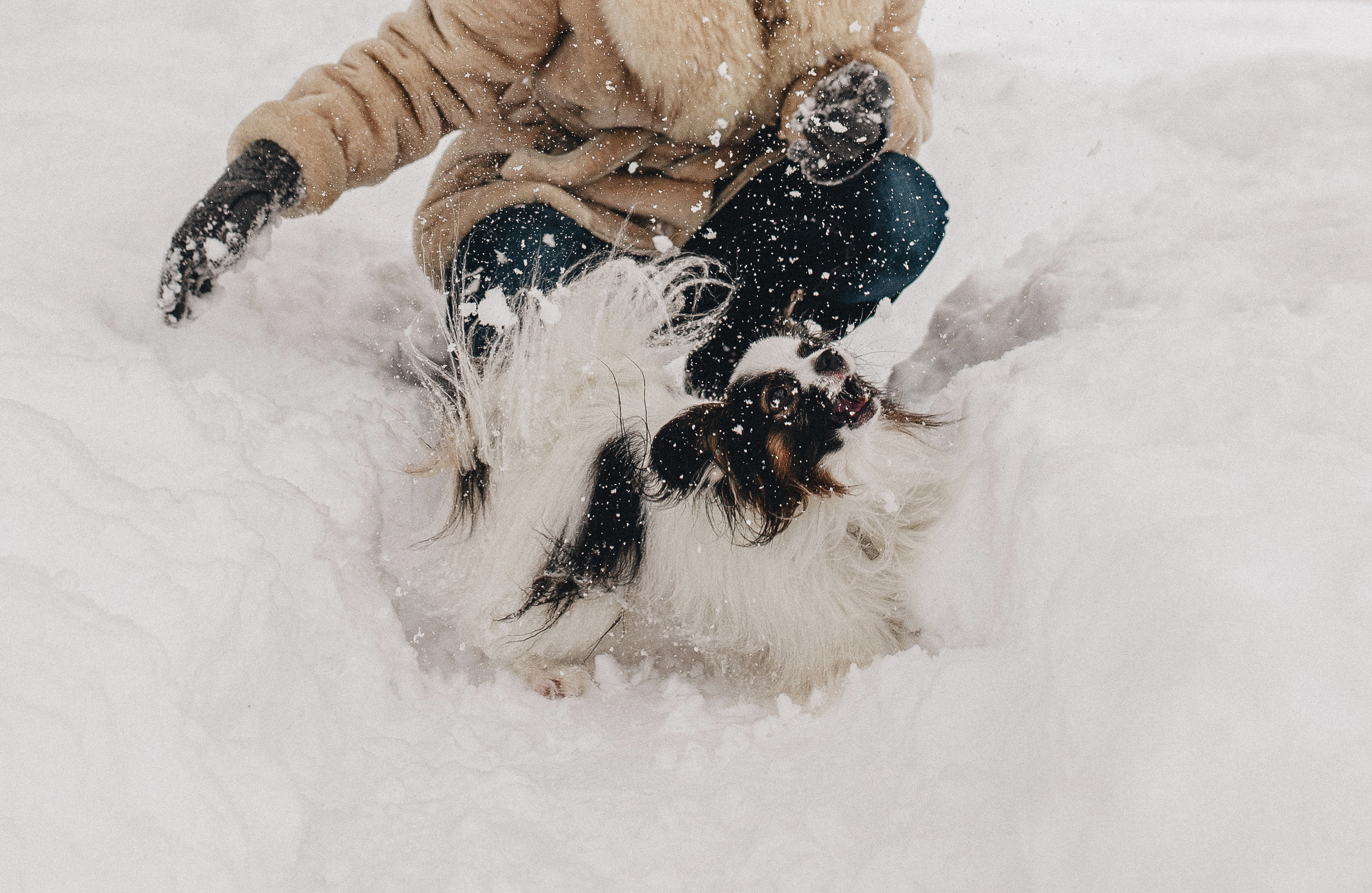 Зима, Пушкин и Ира. Фотограф в Краснодаре Алена Соколовская