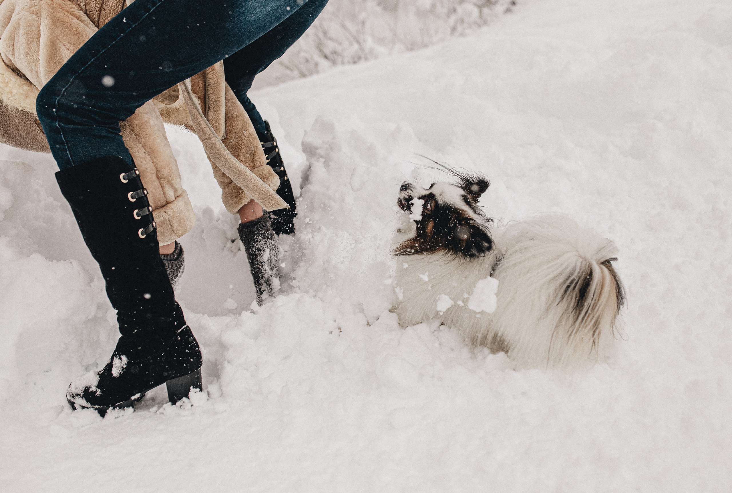 Зима, Пушкин и Ира. Фотограф в Краснодаре Алена Соколовская