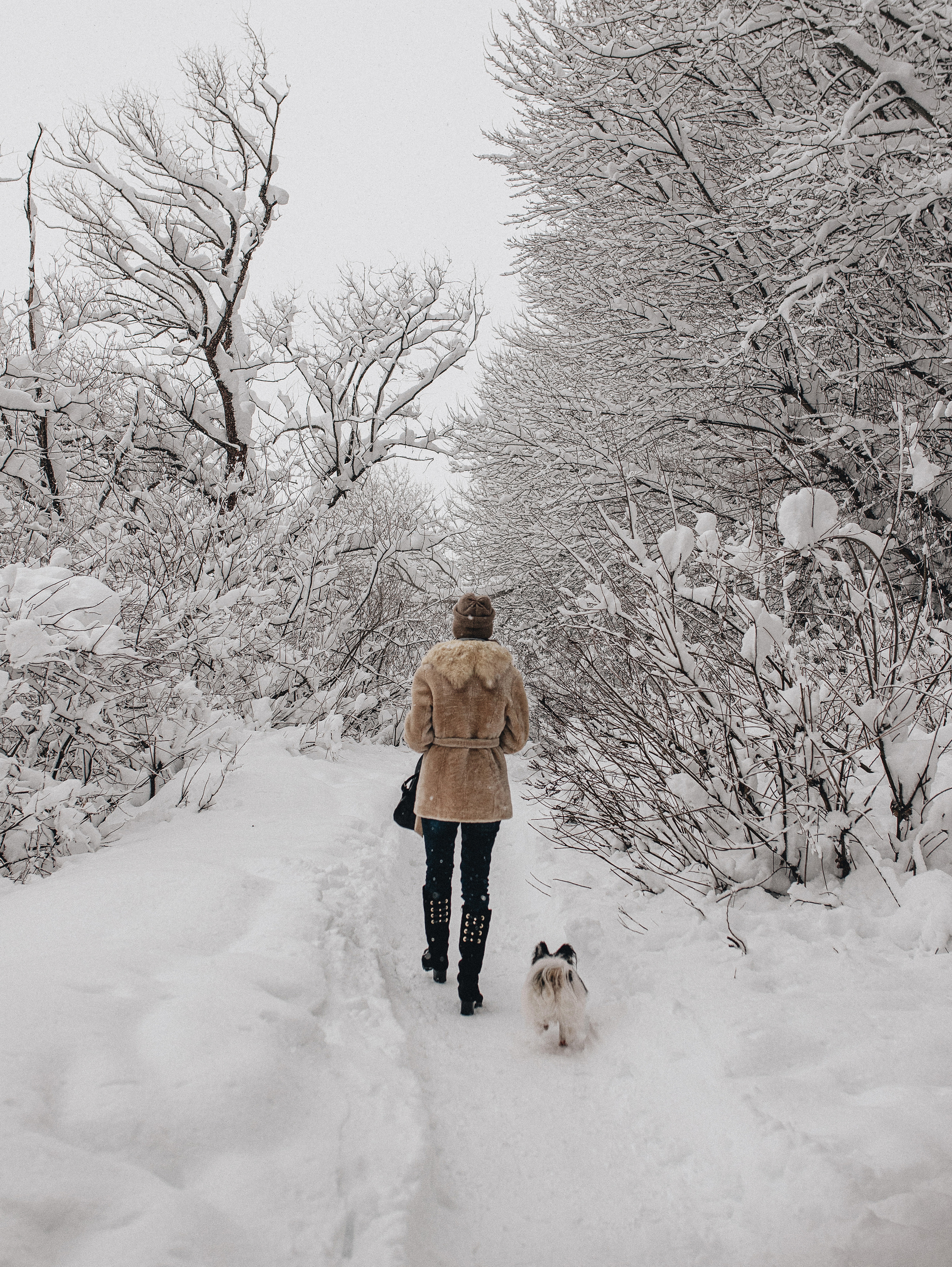 Зима, Пушкин и Ира. Фотограф в Краснодаре Алена Соколовская