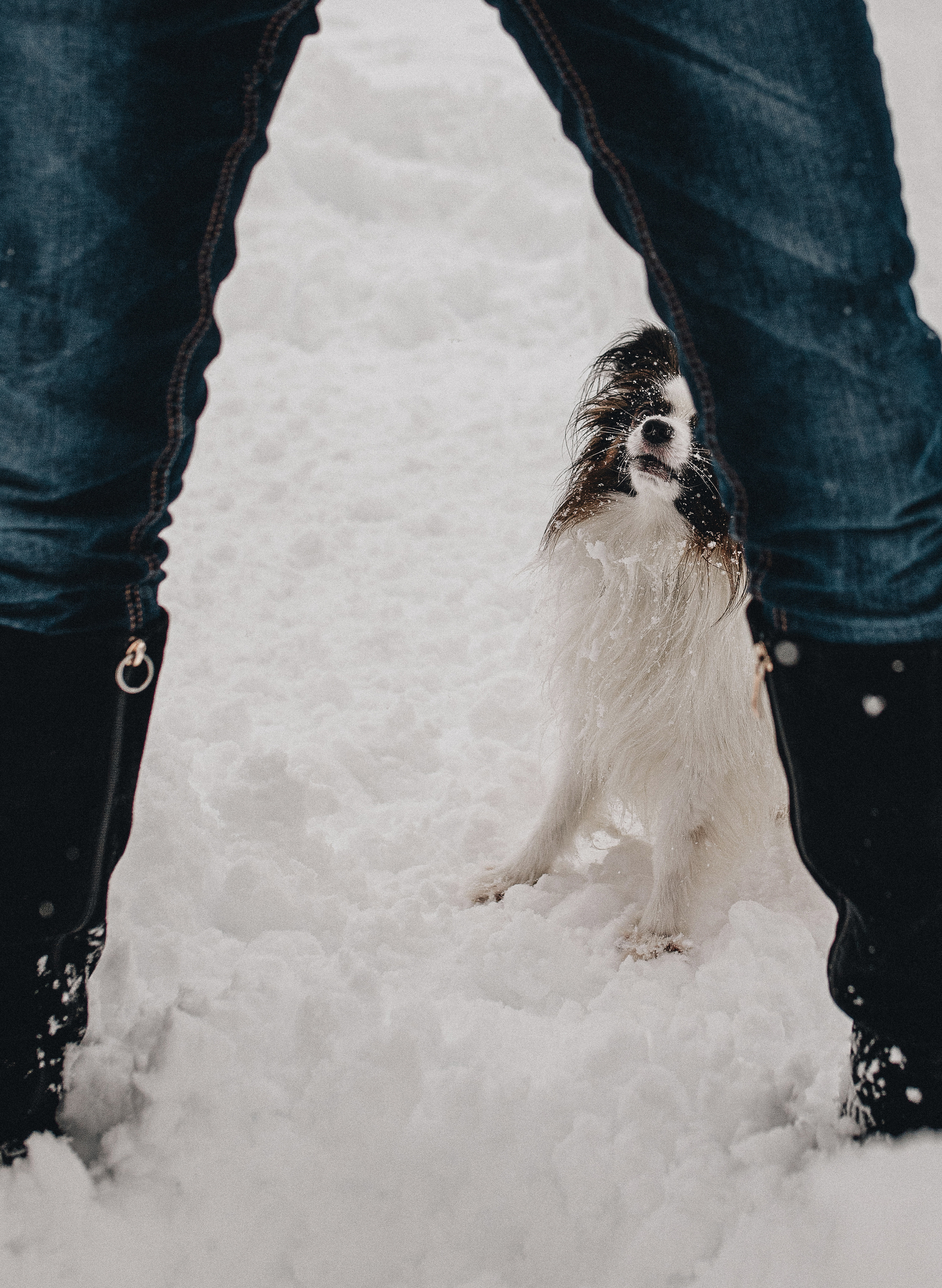 Зима, Пушкин и Ира. Фотограф в Краснодаре Алена Соколовская