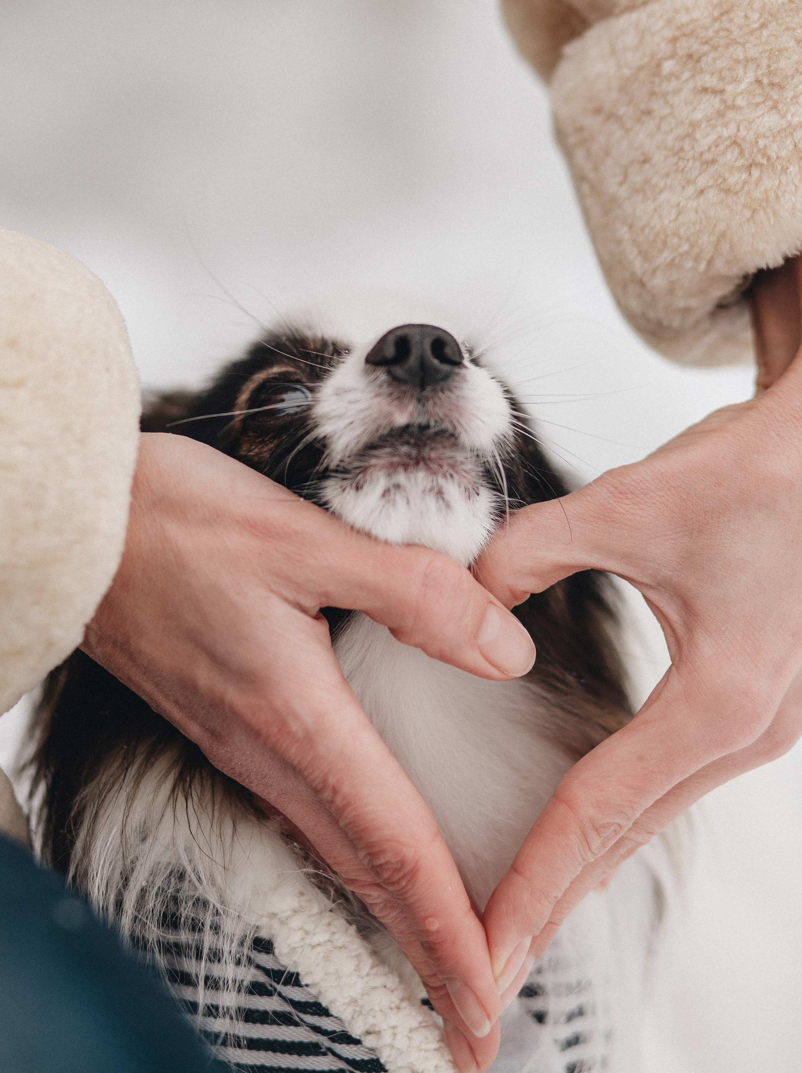 Зима, Пушкин и Ира. Фотограф в Краснодаре Алена Соколовская