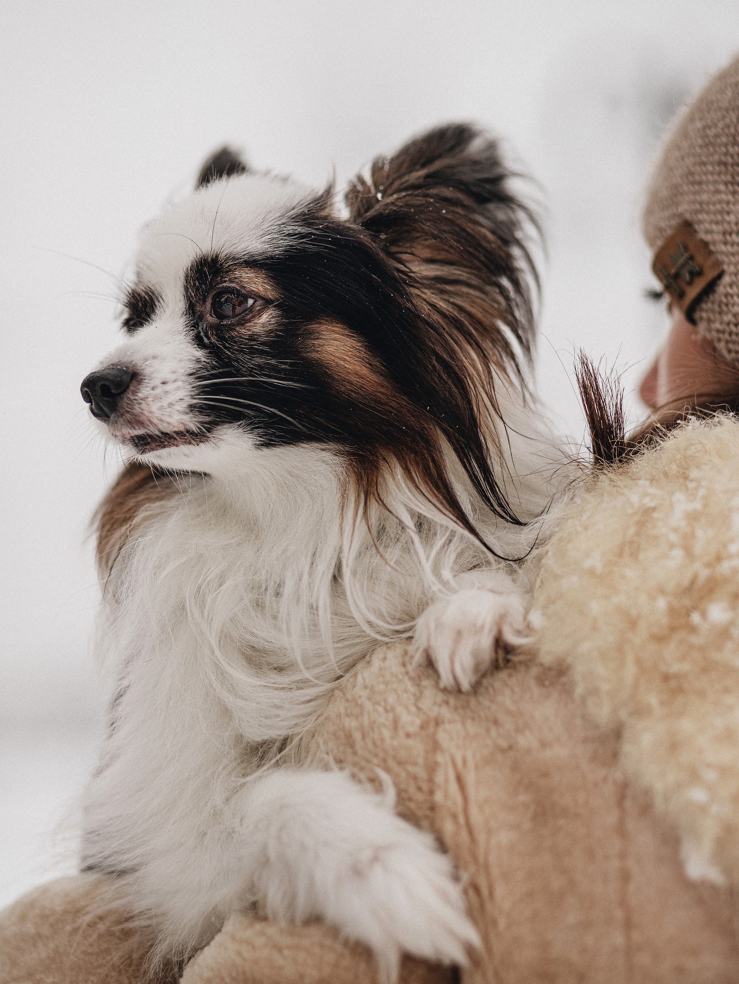 Зима, Пушкин и Ира. Фотограф в Краснодаре Алена Соколовская