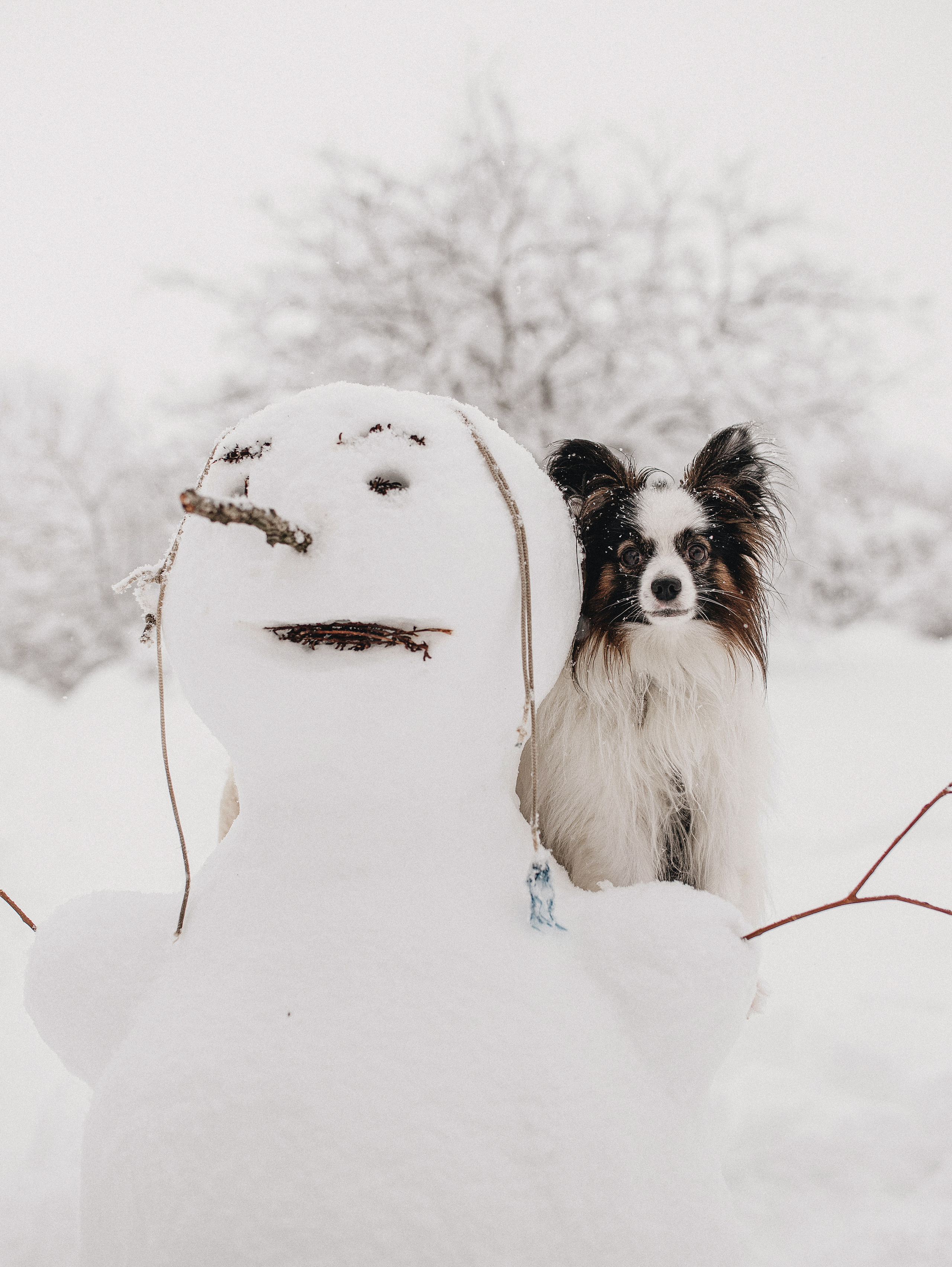 Зима, Пушкин и Ира. Фотограф в Краснодаре Алена Соколовская