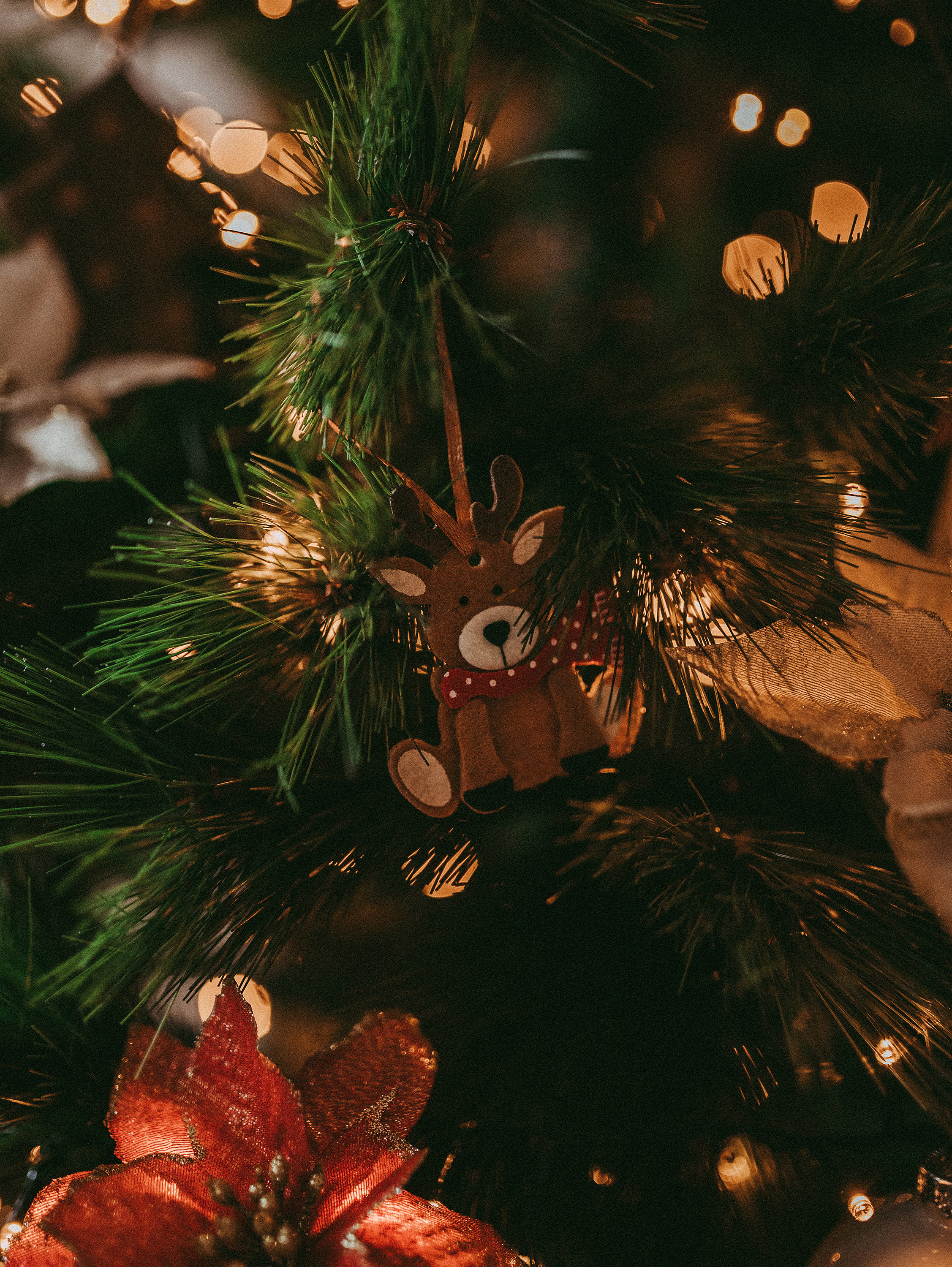 Новогодняя история. Фотограф в Краснодаре Алена Соколовская