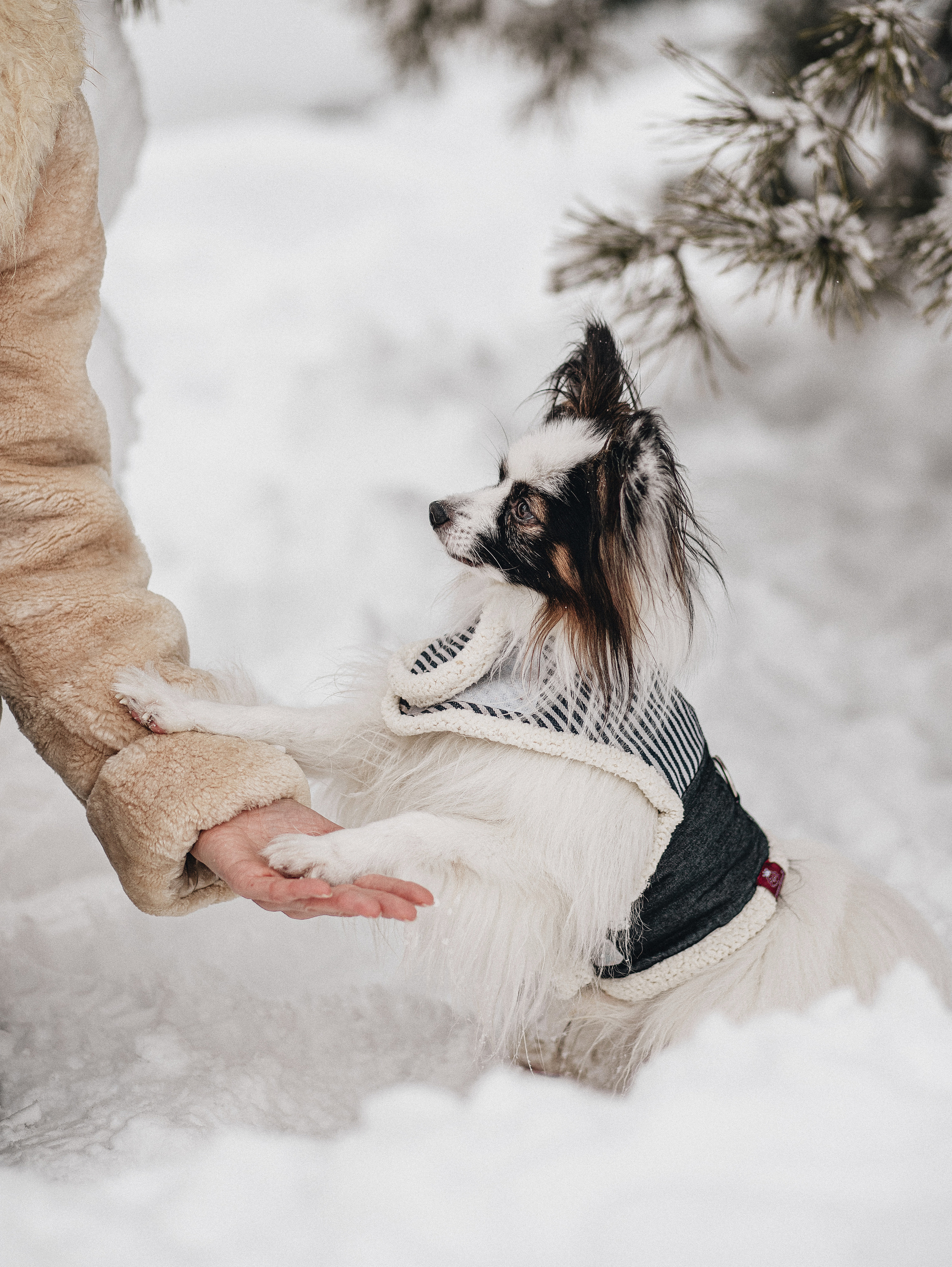 Зима, Пушкин и Ира. Фотограф в Краснодаре Алена Соколовская