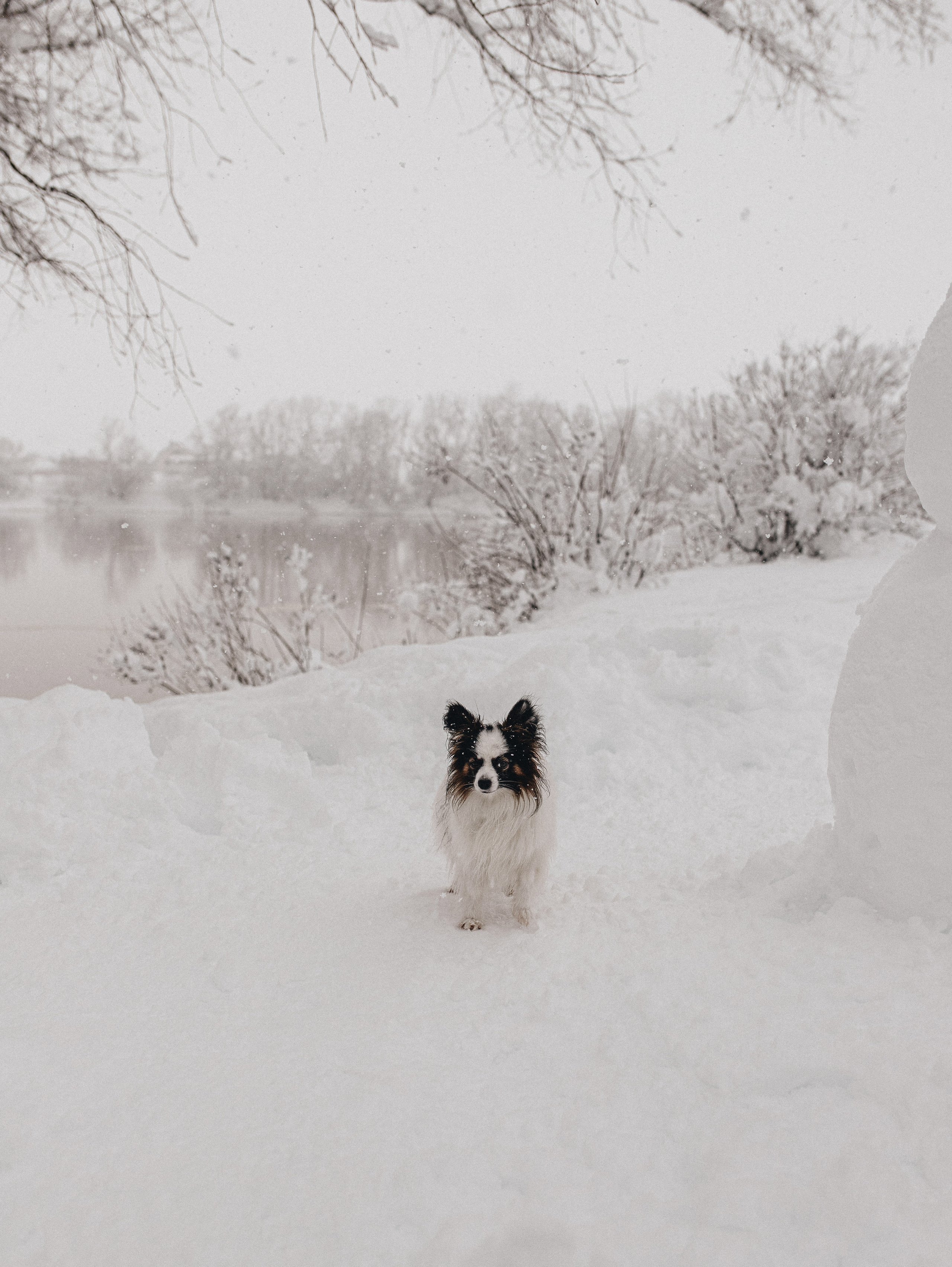 Зима, Пушкин и Ира. Фотограф в Краснодаре Алена Соколовская