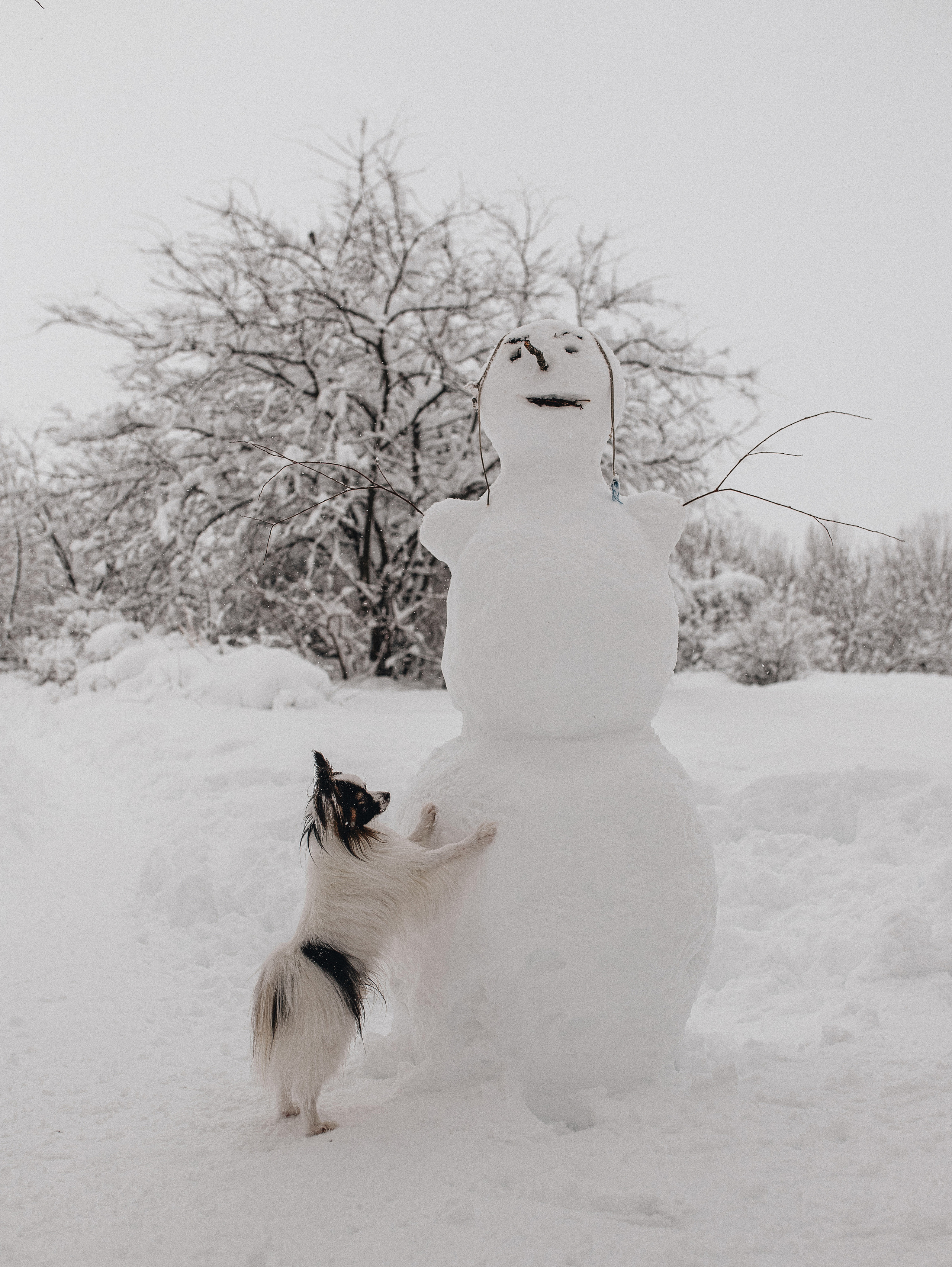 Зима, Пушкин и Ира. Фотограф в Краснодаре Алена Соколовская