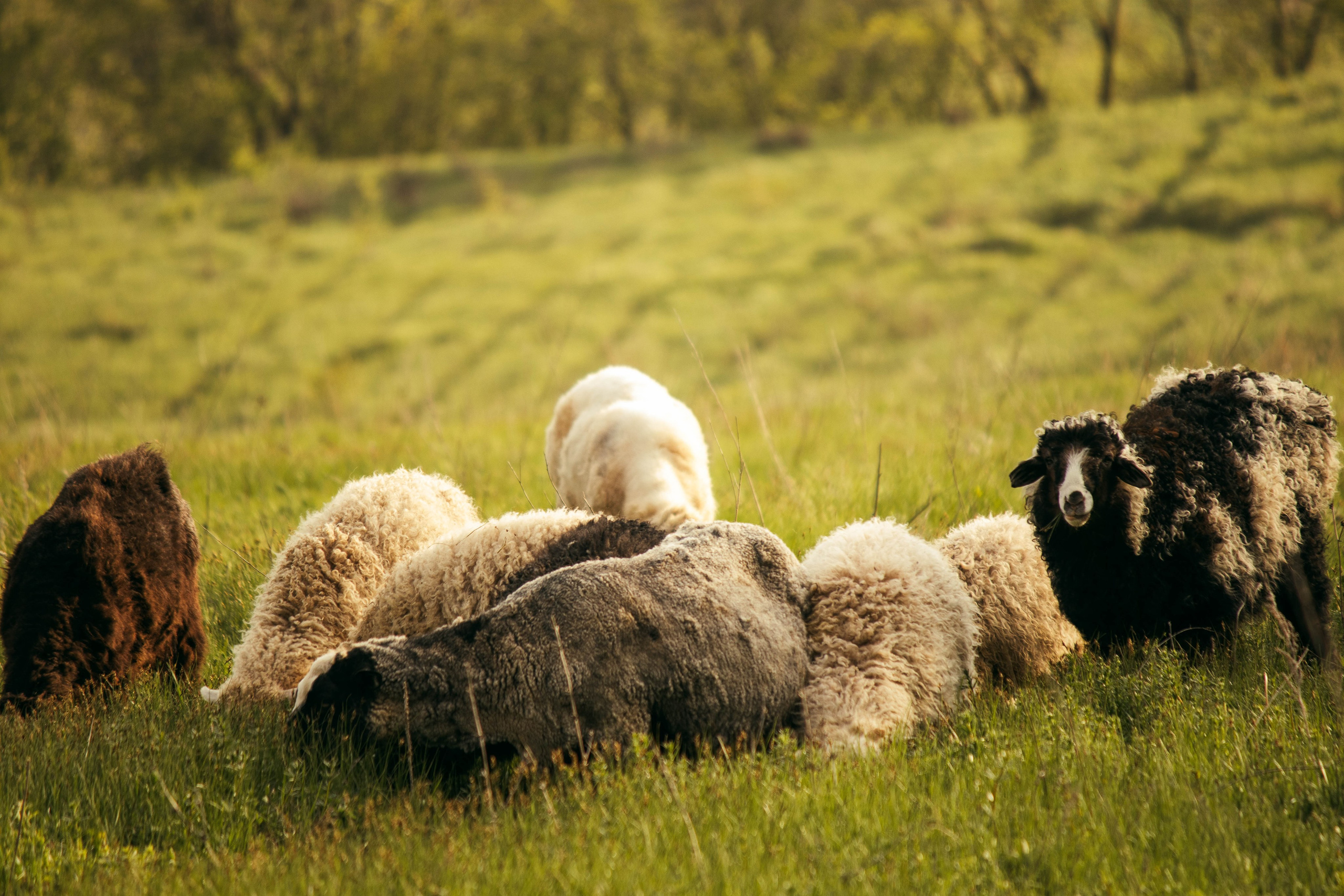 Сокольская гора. Фотограф и видеограф в Бугульме Аня Трутнева