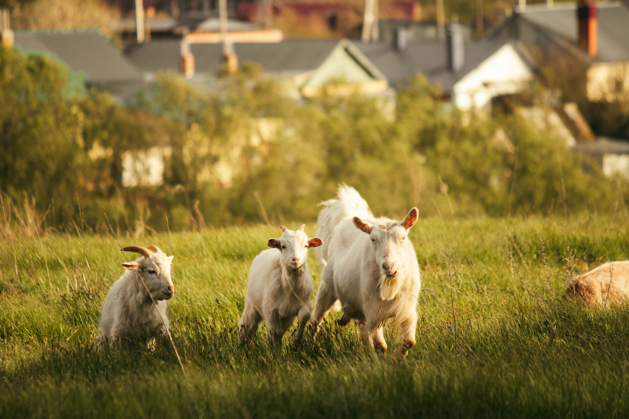 Сокольская гора. Фотограф и видеограф в Бугульме Аня Трутнева