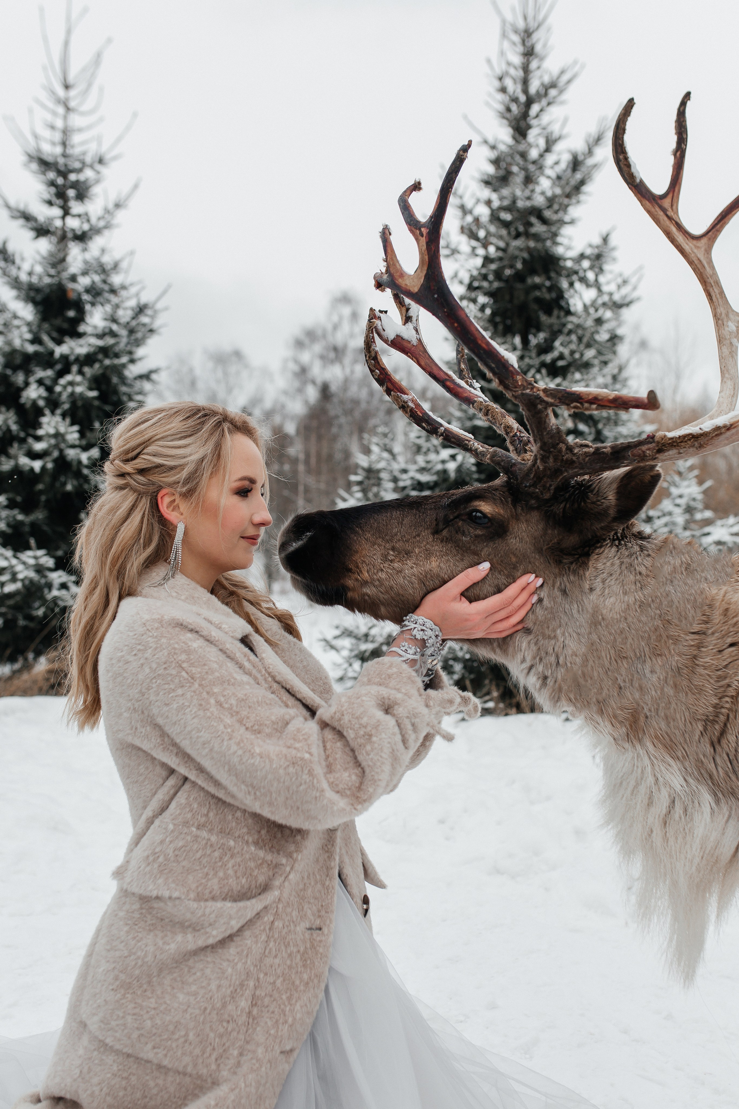 Зимняя фотосессия с оленем