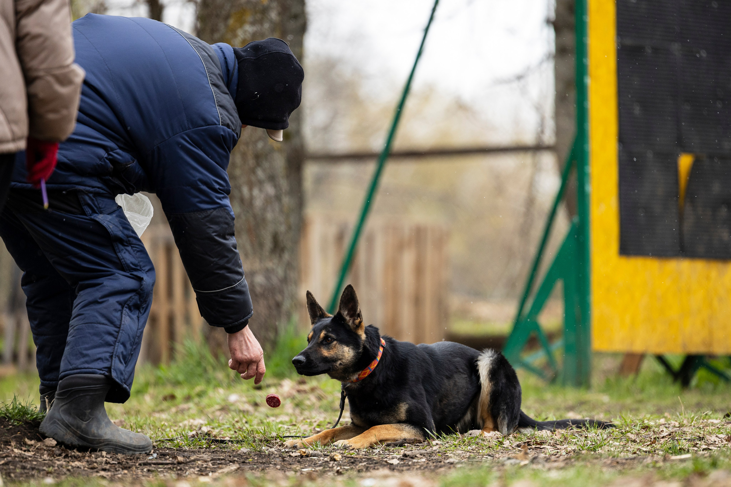 Квалификационные состязания по мондьорингу г. Вологда 11.05.24. Фотограф-анималист Анна Маринич