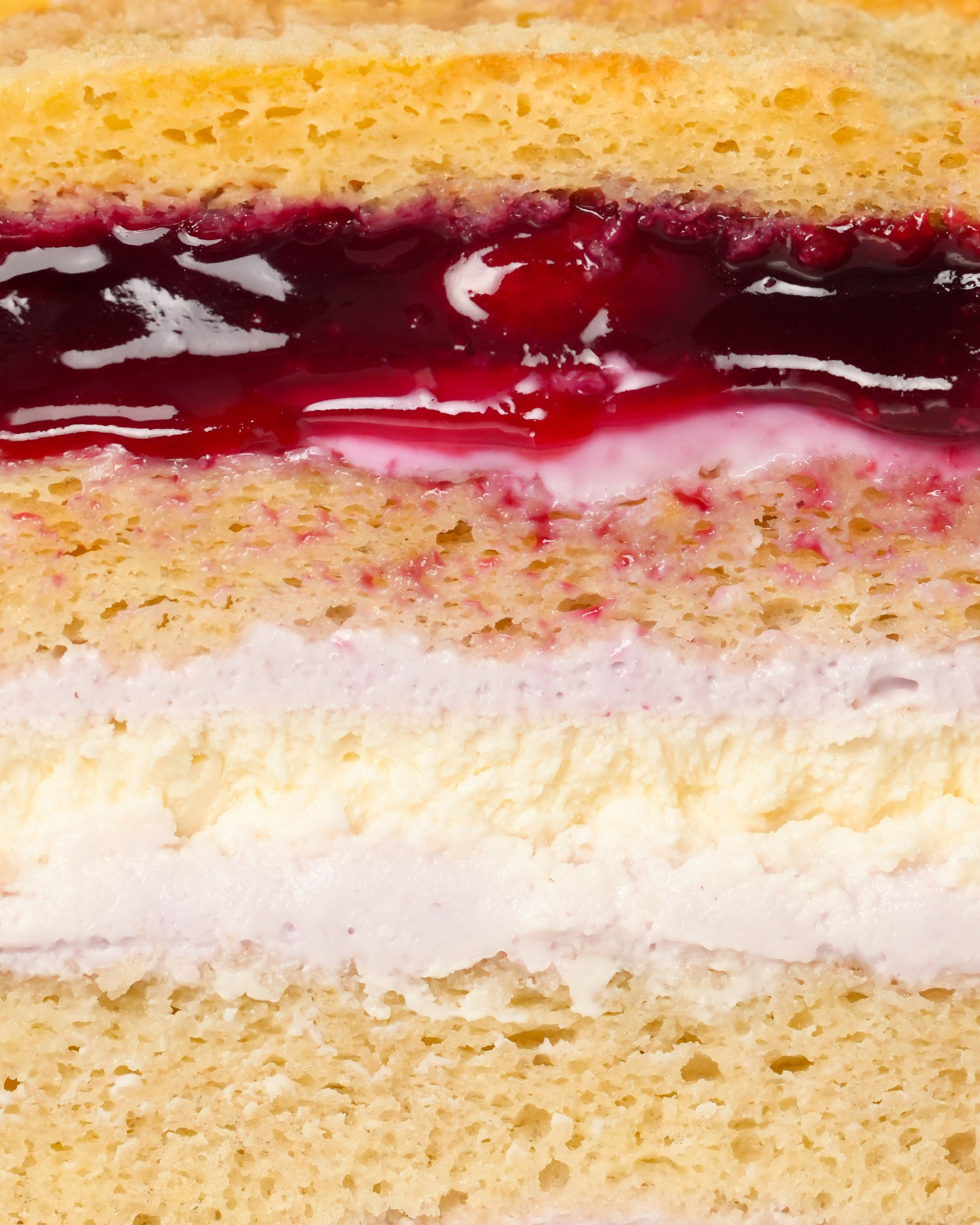 Sama Atelier. AMODEO STUDIO