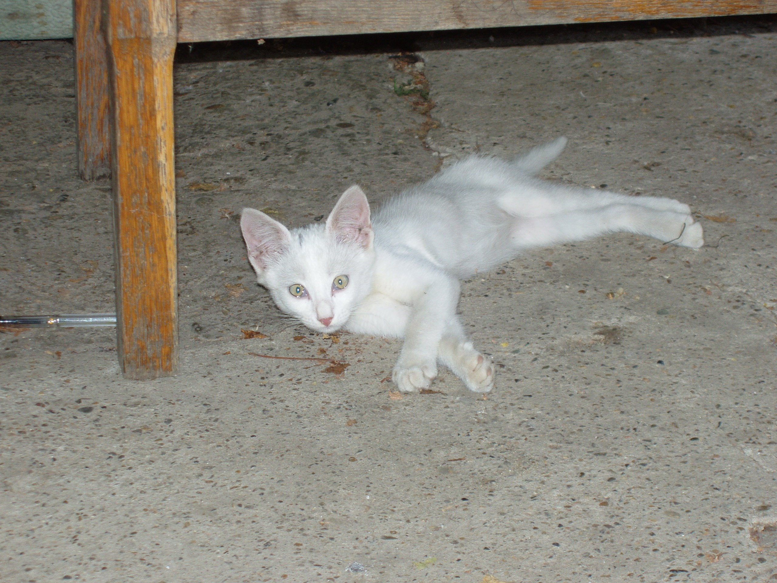 Отпуск 20.07-17.08. Семейный, Свадебный фотограф СПБ Питер— Романова Екатерина