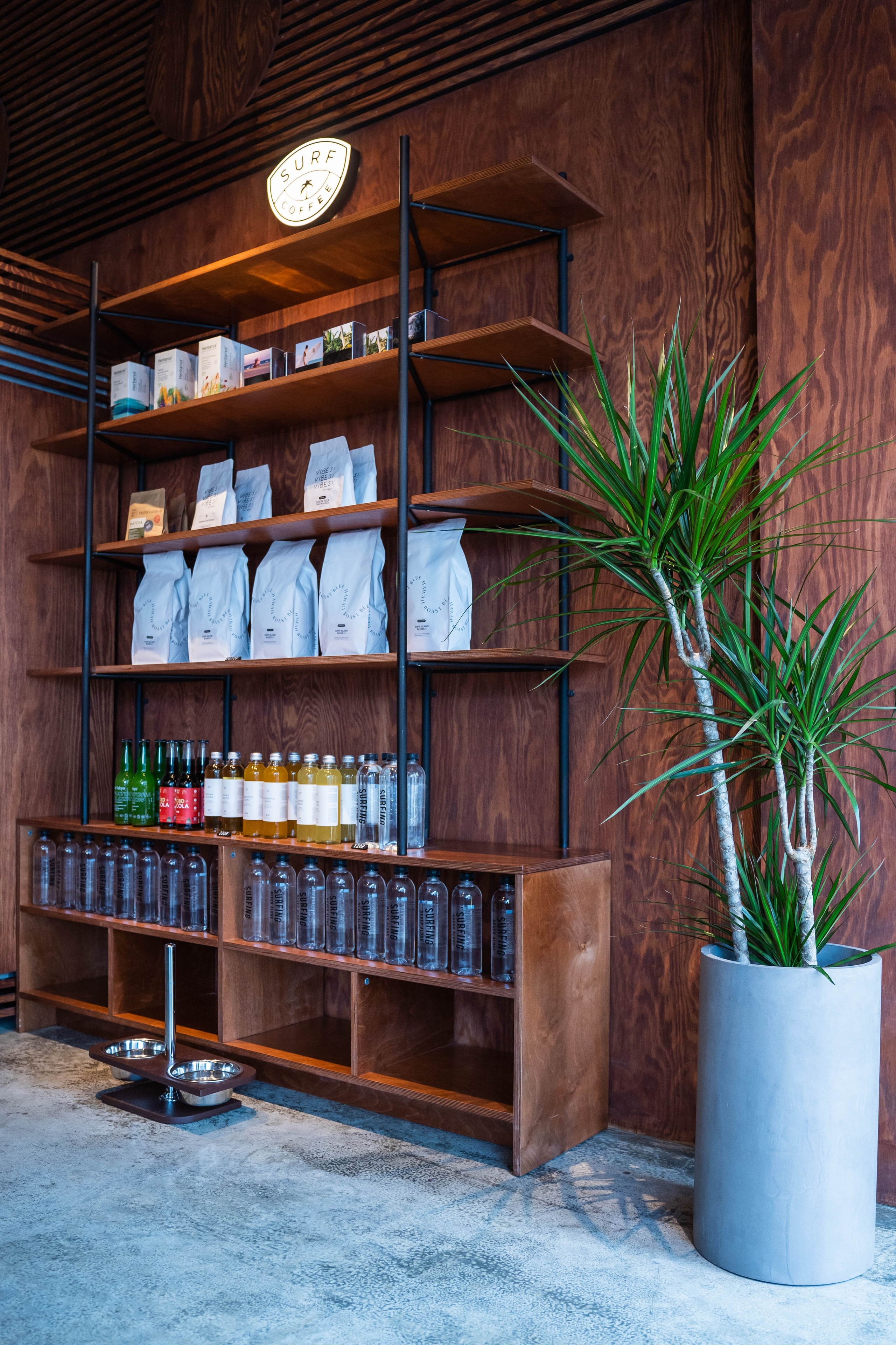 SURF COFFEE| DAY. Фотограф Абакумова Анастасия