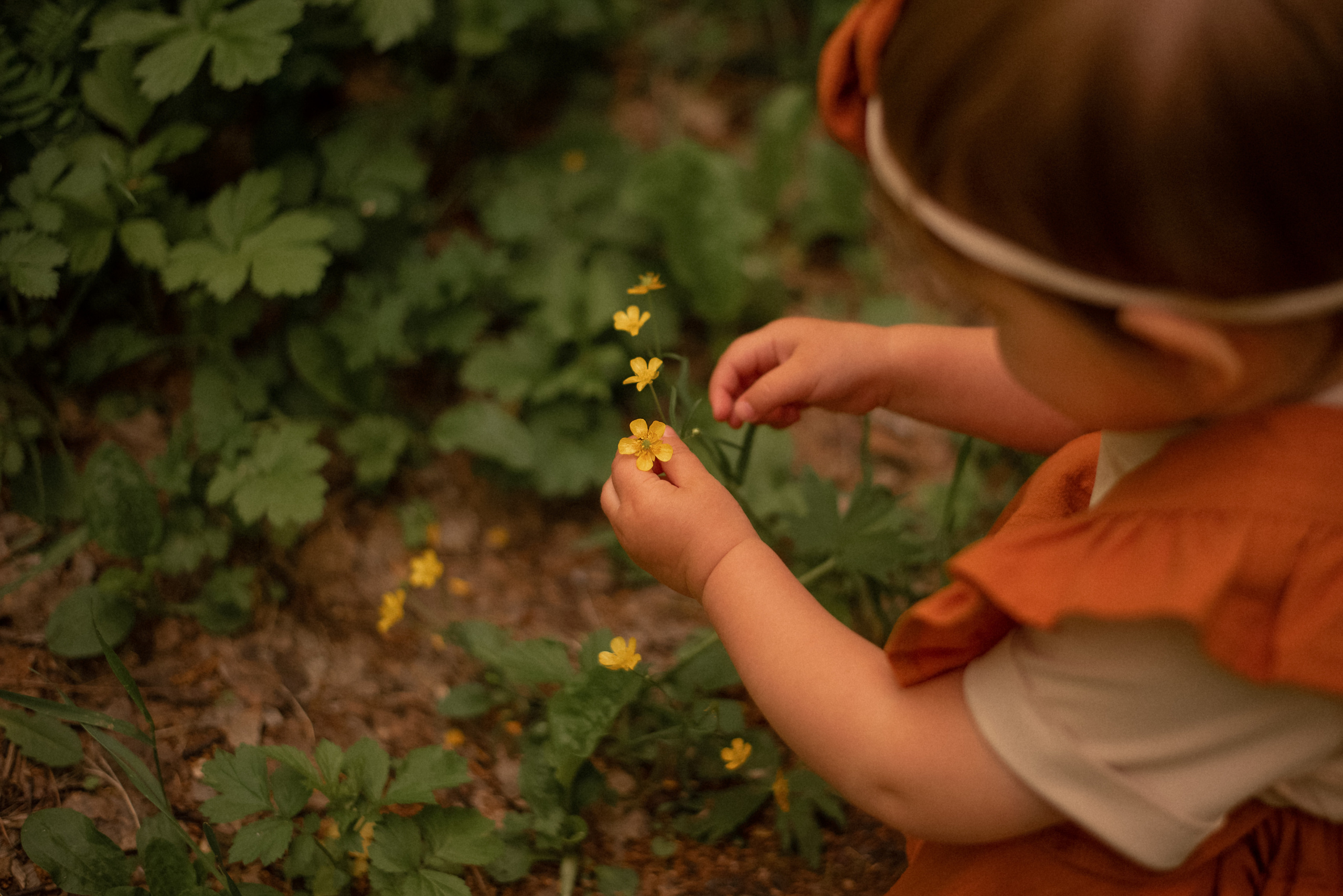 Летняя прогулка. Фотограф  Потапова Анна