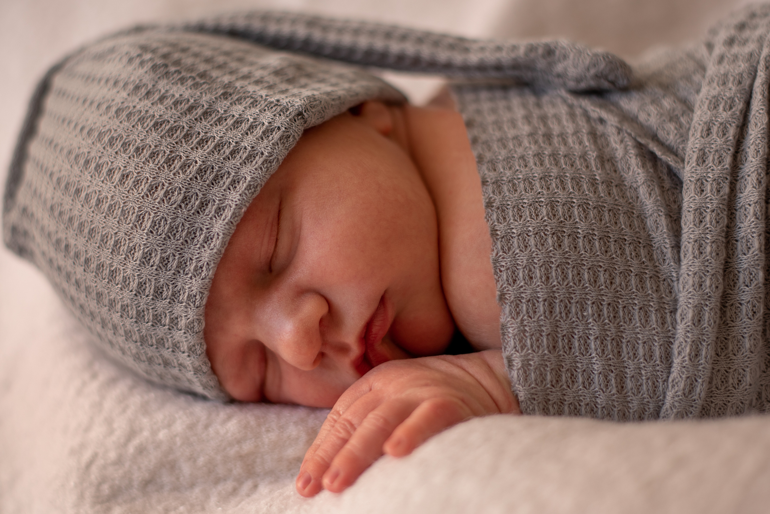 Наш малыш. Фотограф  Потапова Анна