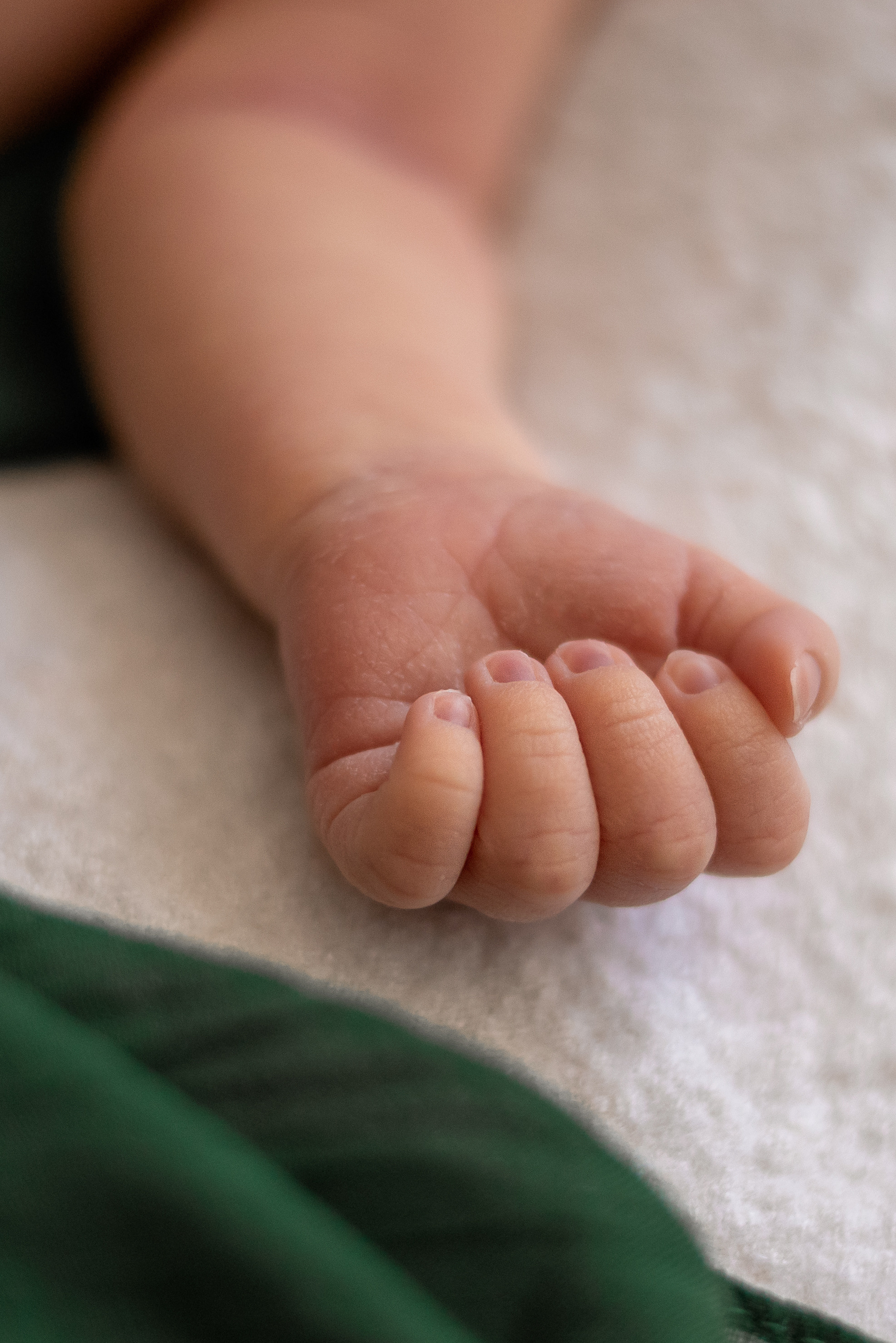 Наш малыш. Фотограф  Потапова Анна