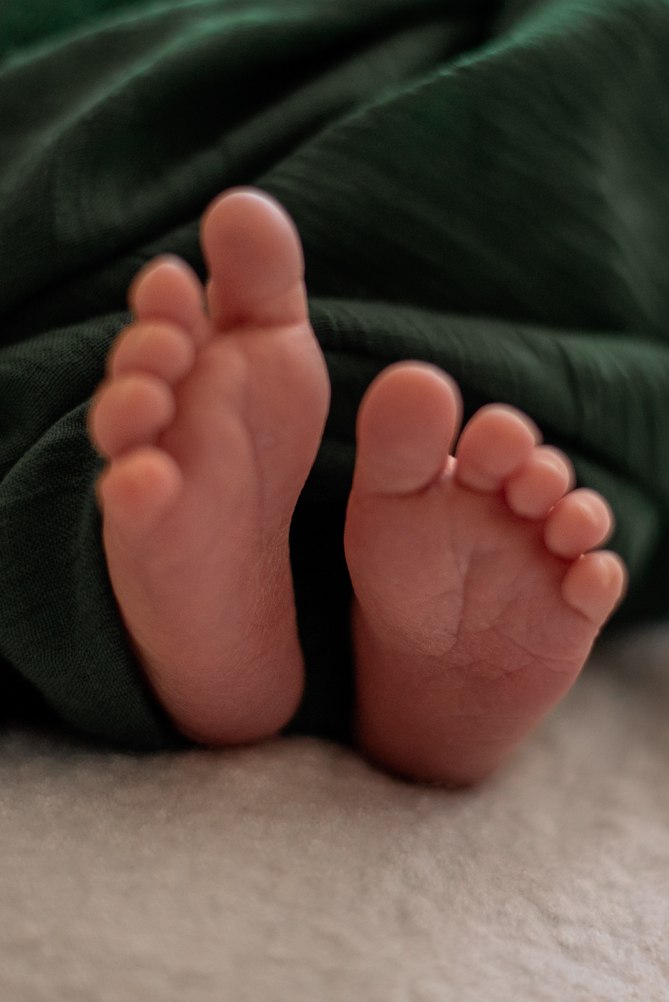 Наш малыш. Фотограф  Потапова Анна