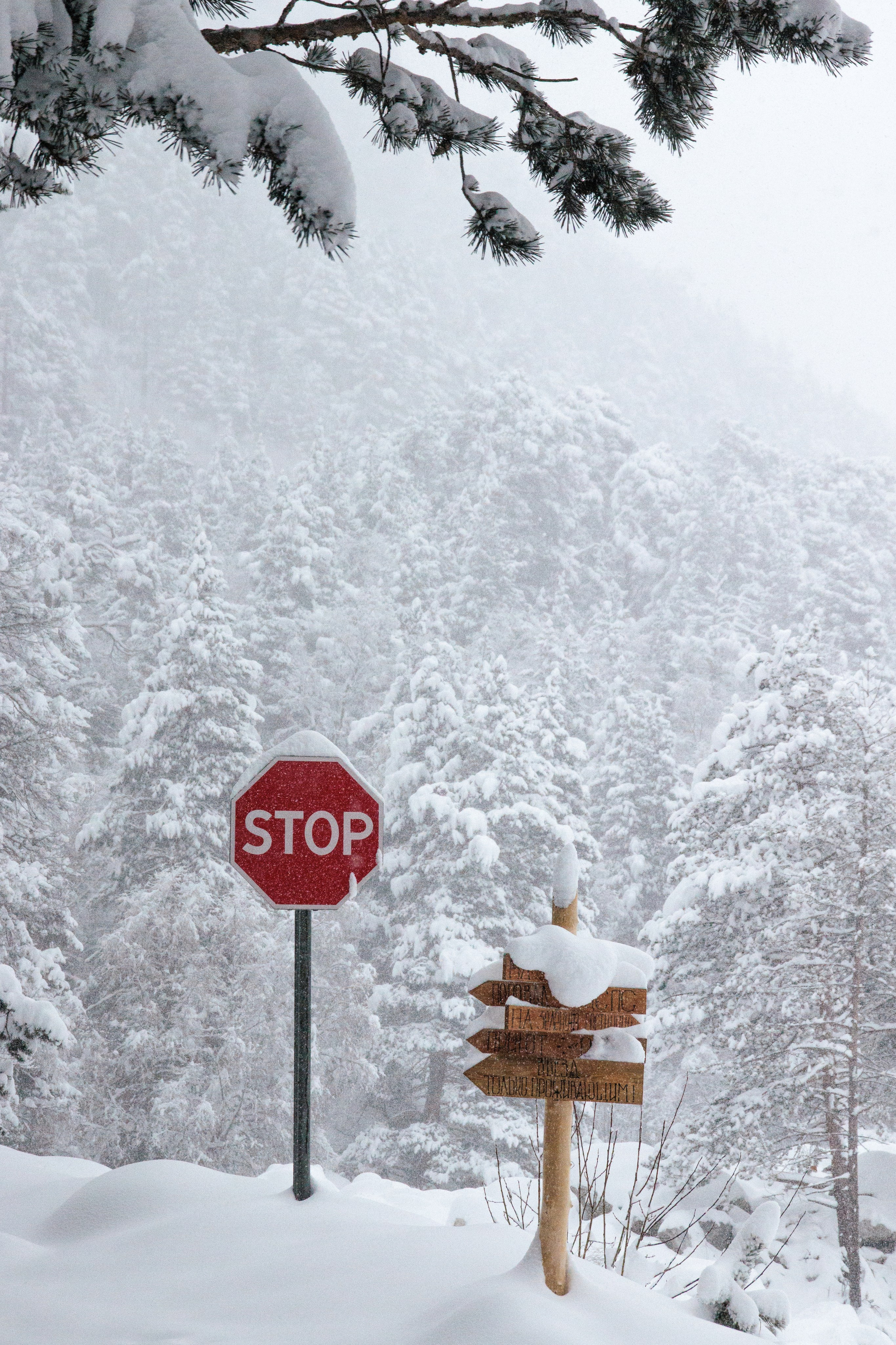 Эльбрус / зима. Фотограф на трекинг и восхождение Эльбрус, Приэльбрусье. Елизавета Бобок