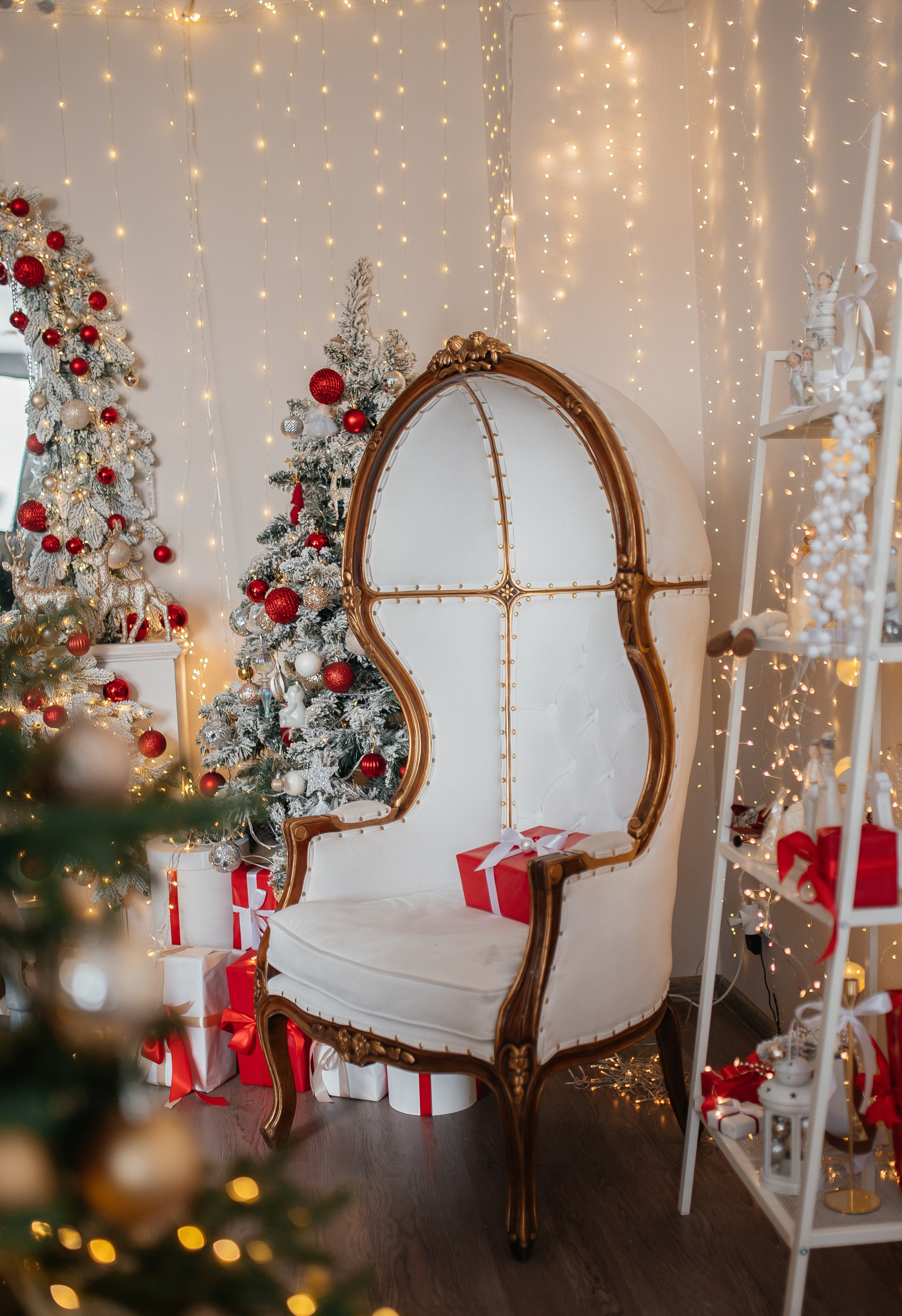 Look. Свадебный фотограф в новокузнецке