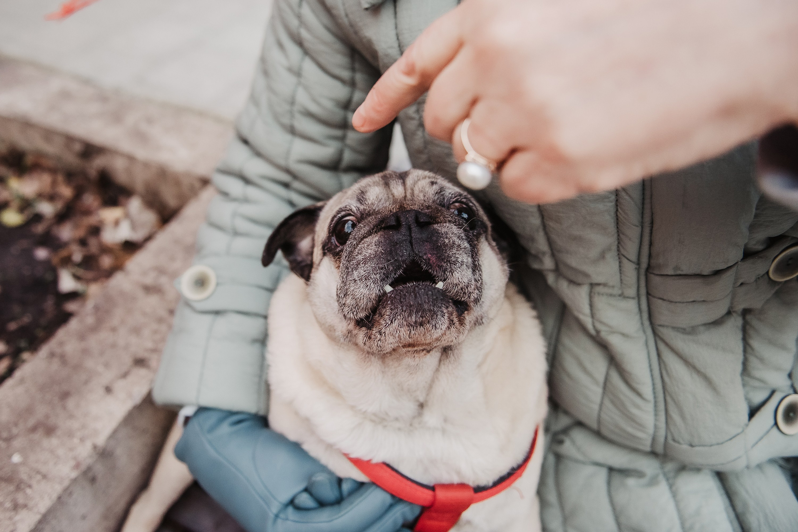 Ольга и Потапум. Прогулка к чайному дому. Семейный Фотограф в Москве Ирина Хохлова
