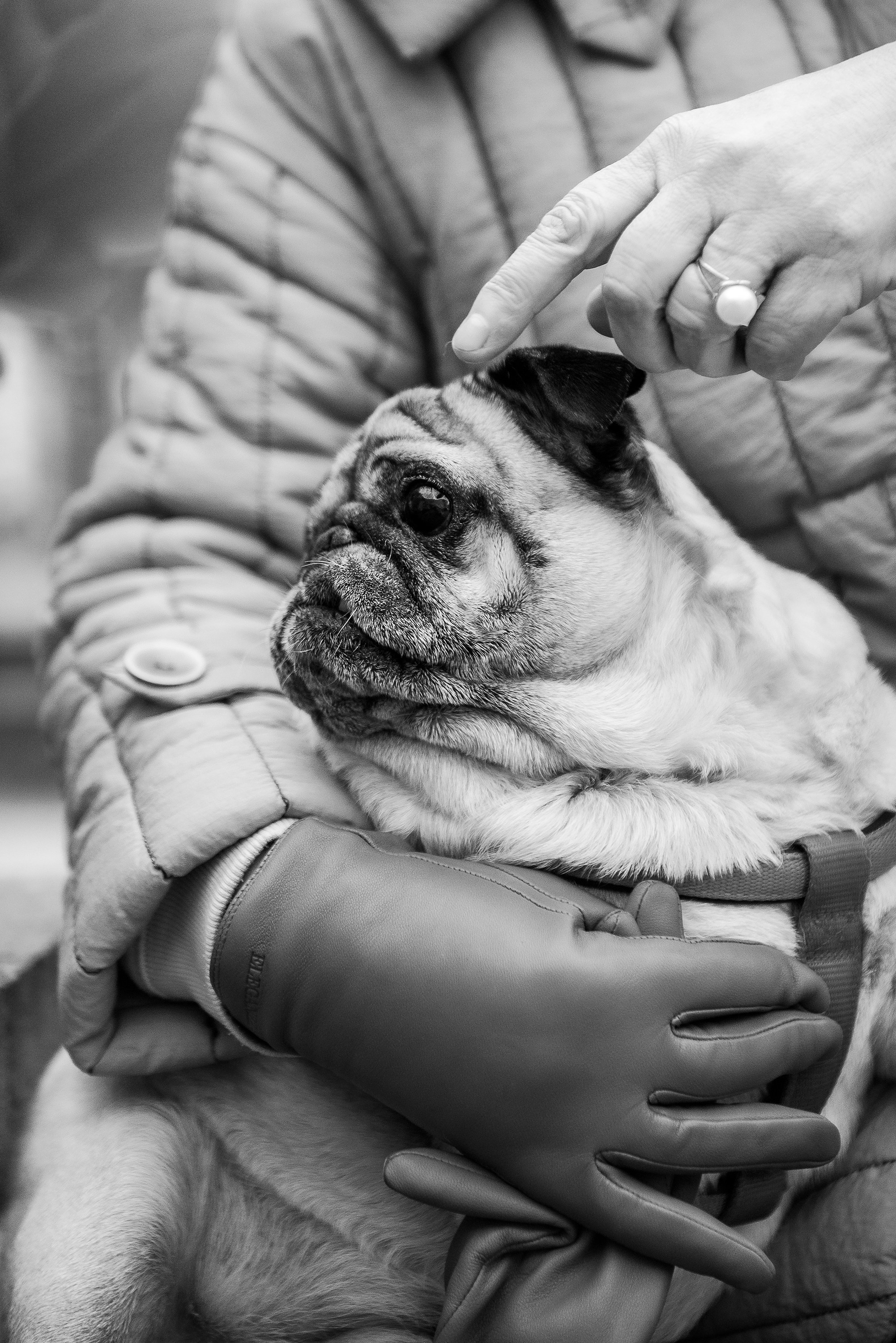 Ольга и Потапум. Прогулка к чайному дому. Семейный Фотограф в Москве Ирина Хохлова