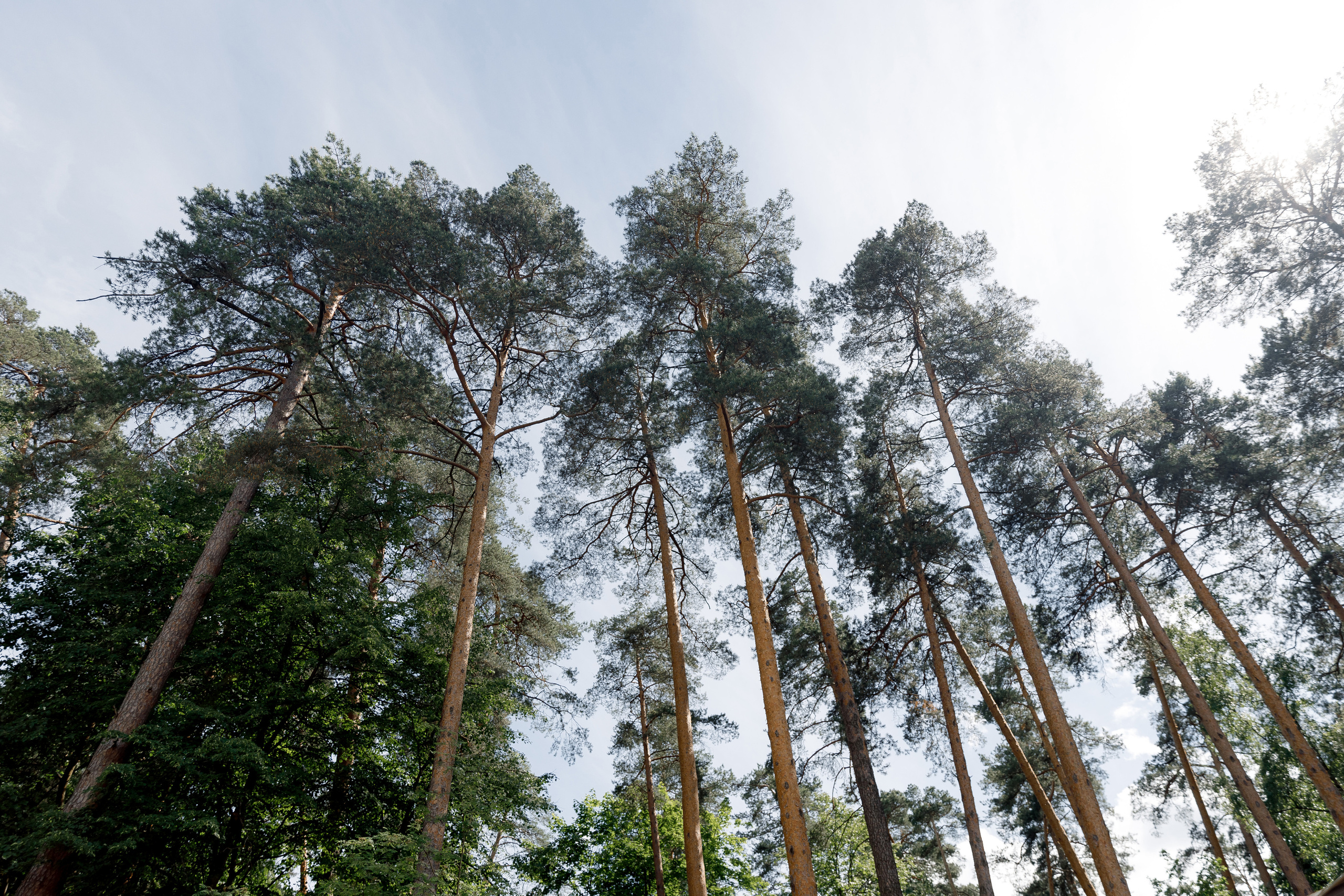 Антон и Дарья. Свадебный фотограф в Москве и Санкт-Петербурге Денис Ходюков
