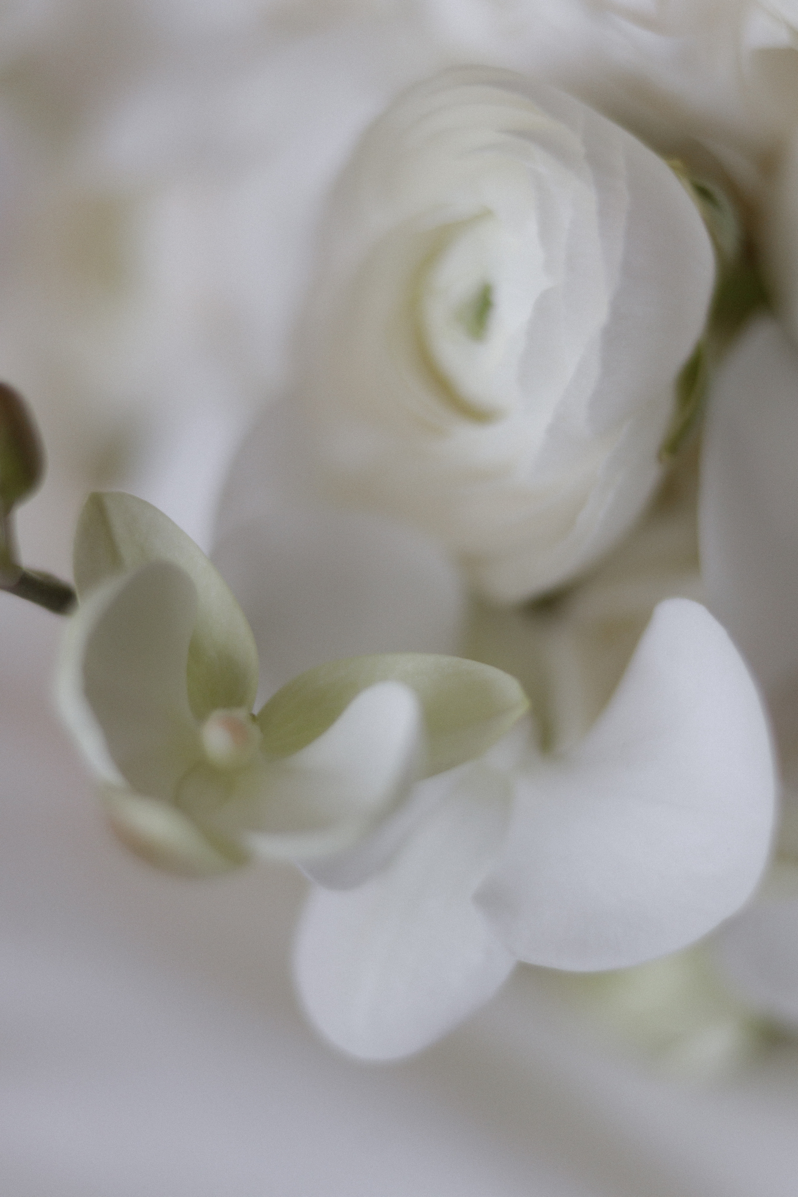 Фил и Алиса. Свадебный фотограф в Москве и Санкт-Петербурге Денис Ходюков