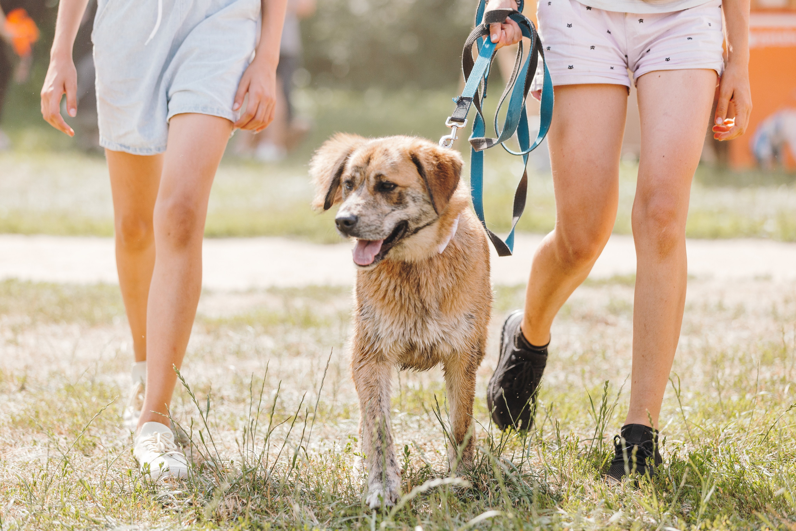 Petshop Sup day. Фотограф анималист Кристина Карпова, Москва