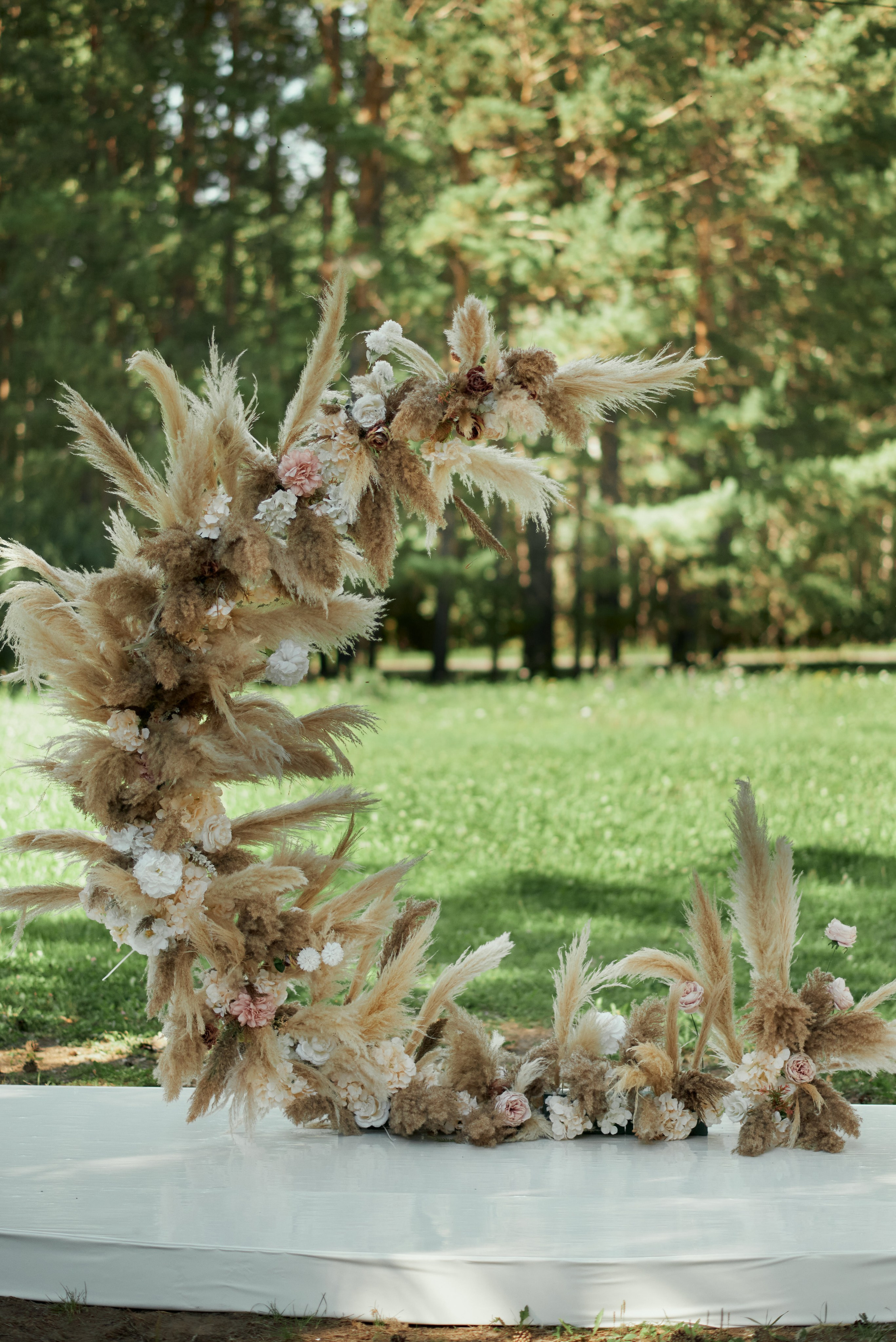Александра и Максим. Свадебный фотограф Александр Браво