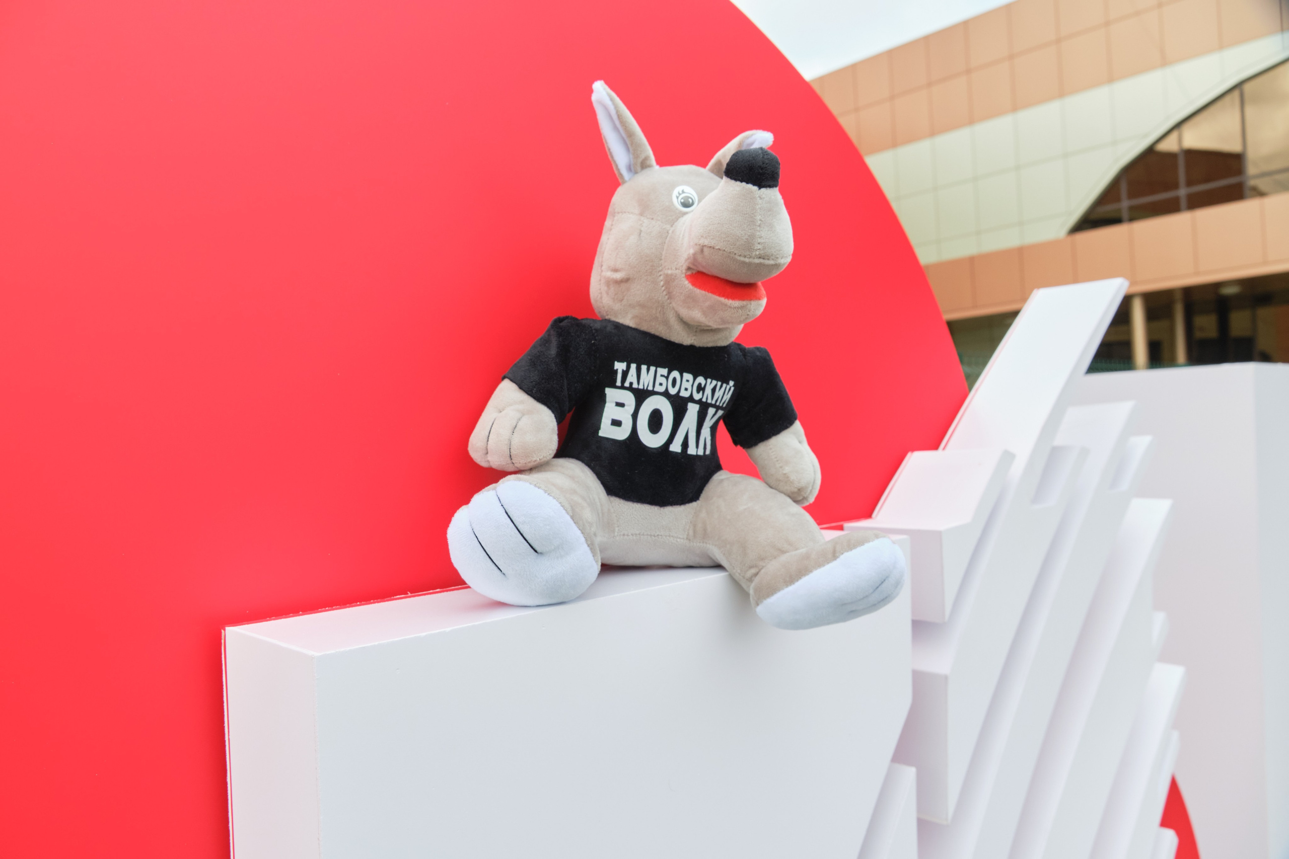 РУСАГРО. Организация фото/видео съемки, Москва