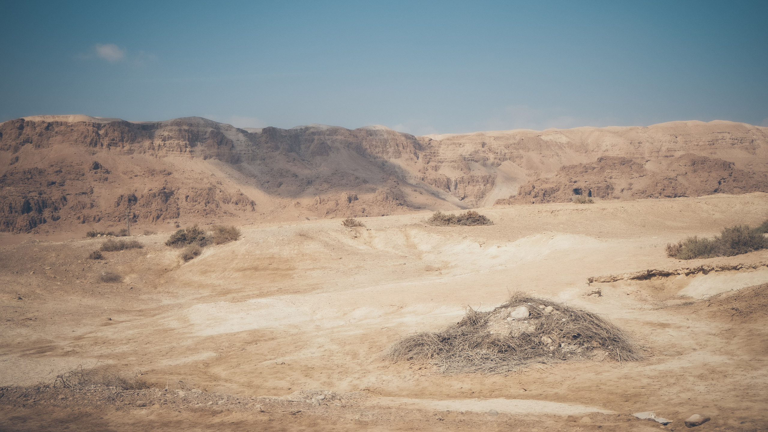 Израиль. Свадебный фотограф Копков Геннадий