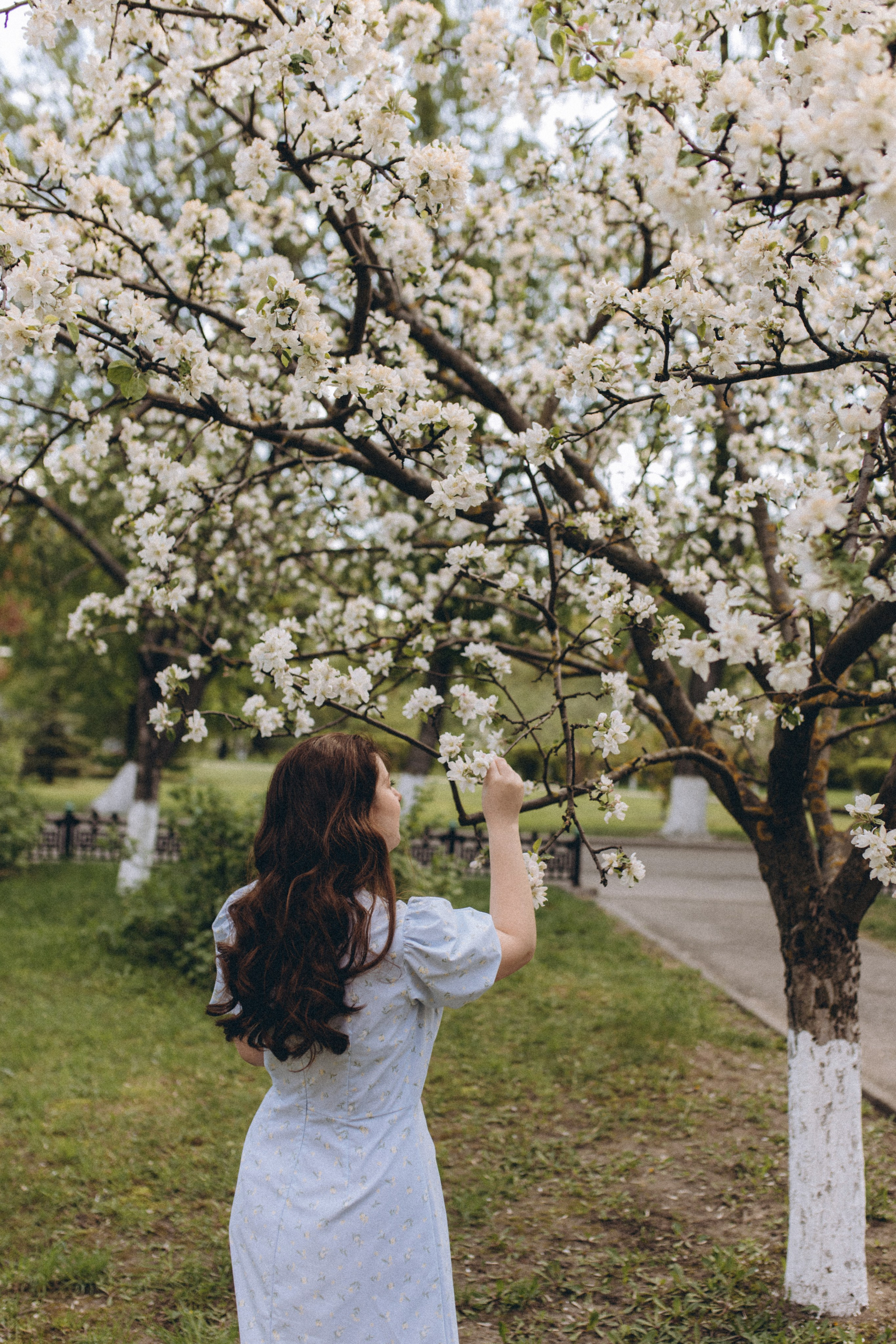 Алина. Фотограф в Нижнем Новгороде Лебедева Елена