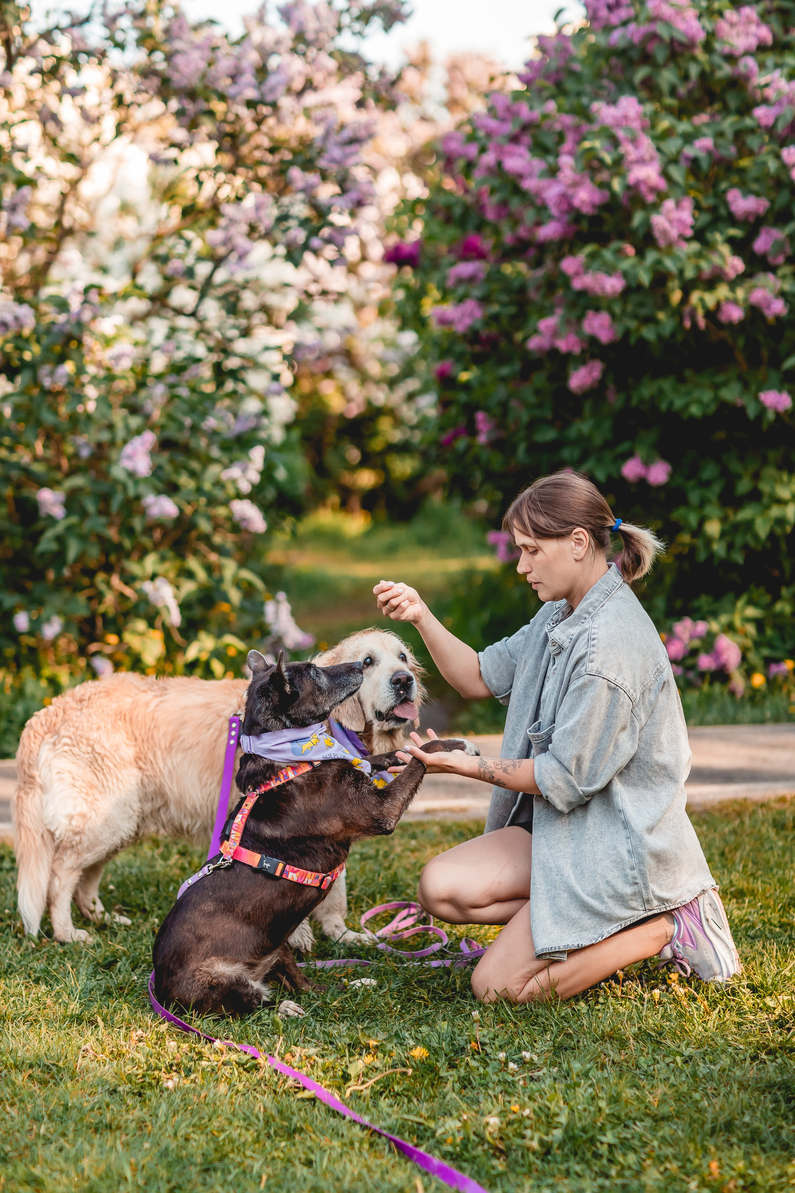 Ира, Альма и Белла. Семейный фотограф анималист Мария Крючкова