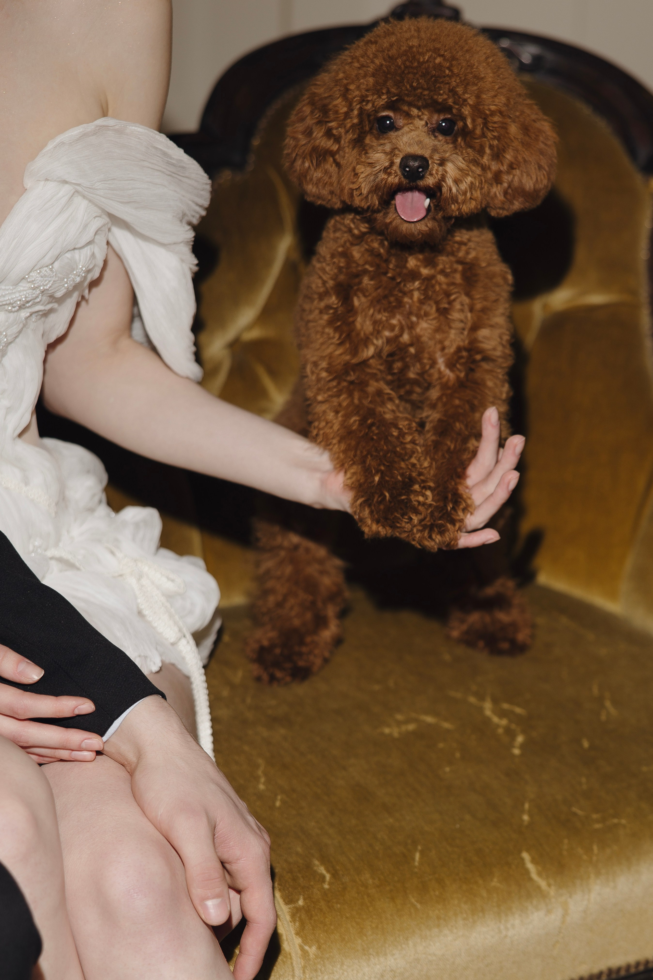 Андрей и Анастасия. Свадебный фотограф Курск Максим Ноздрачев